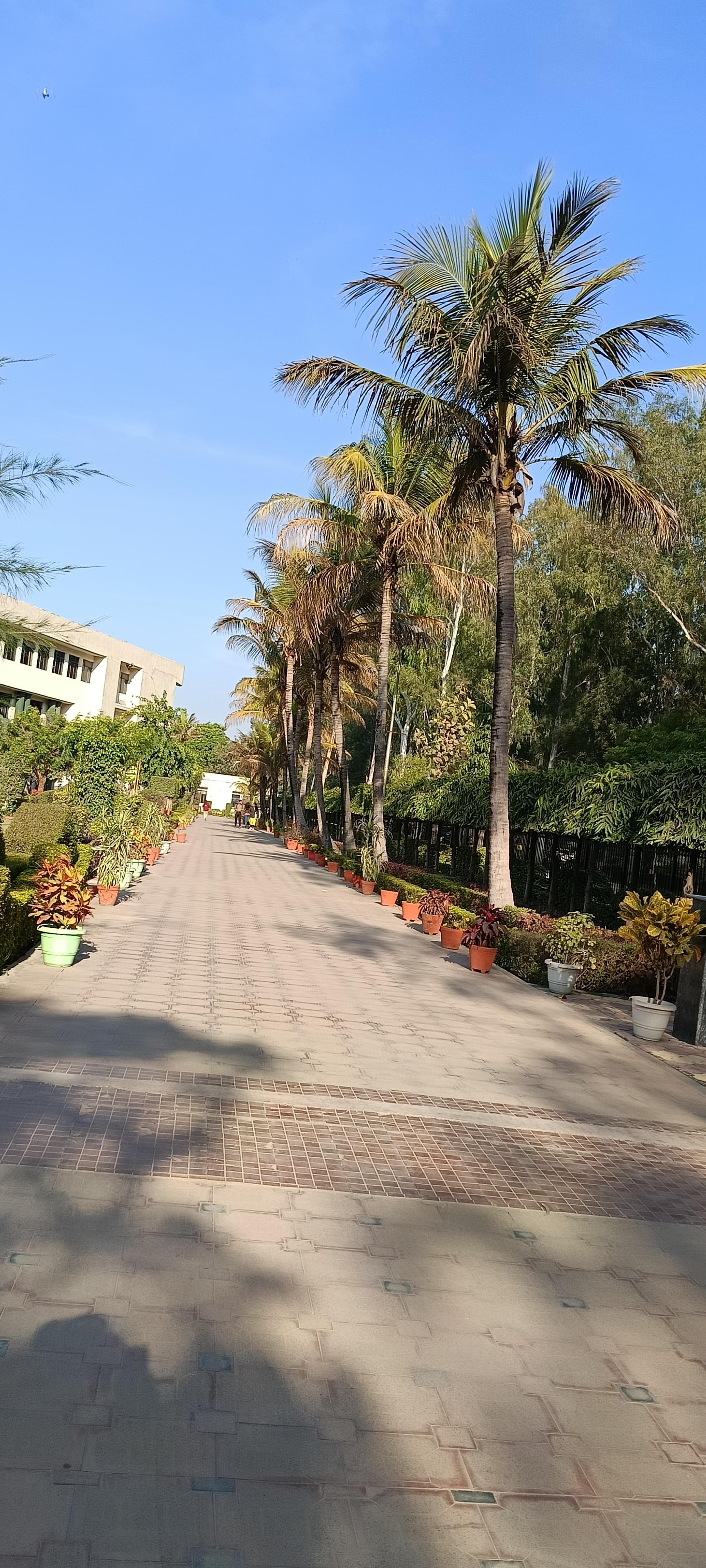 UCER Allahabad Infrastructure & Academic Building photo (8) by Prashant Pandey