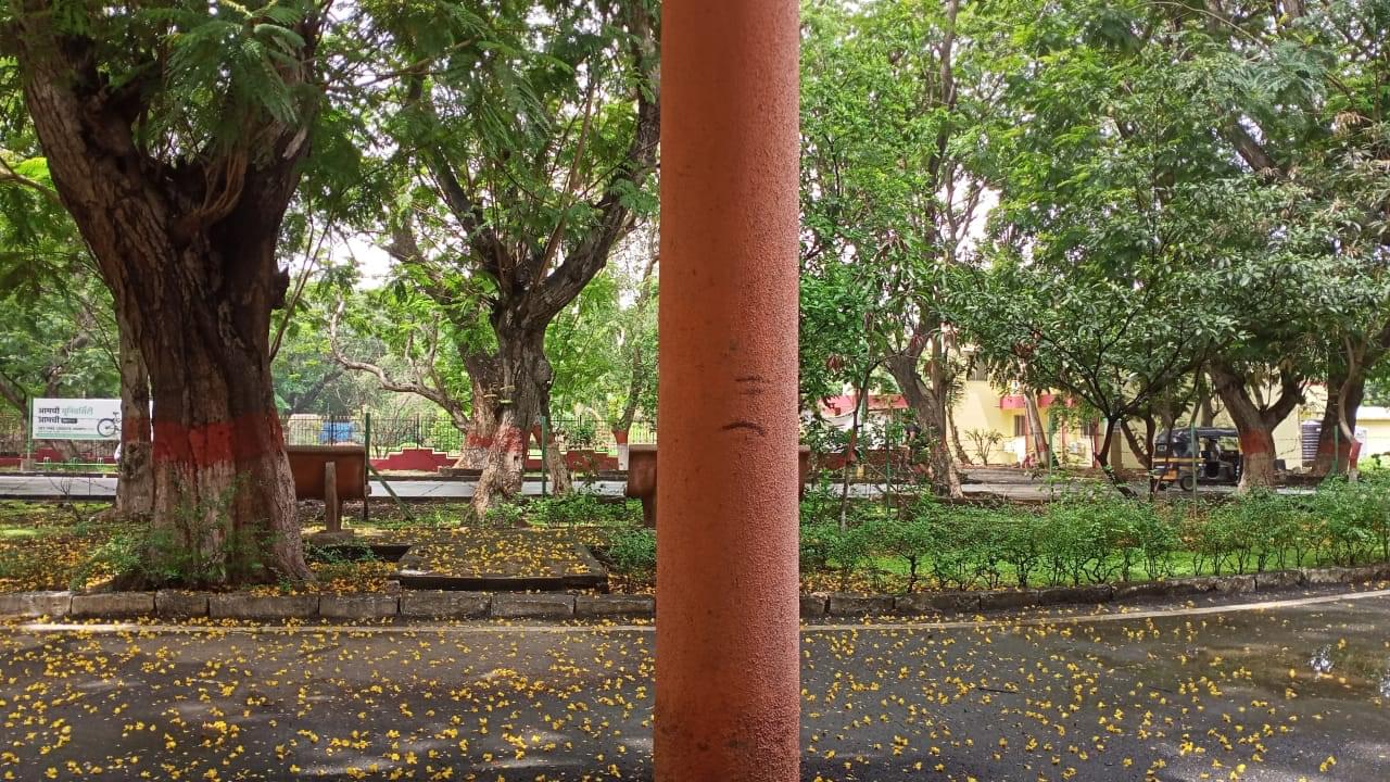 IDOL Mumbai University Campus photo (14) by Amitha vinod