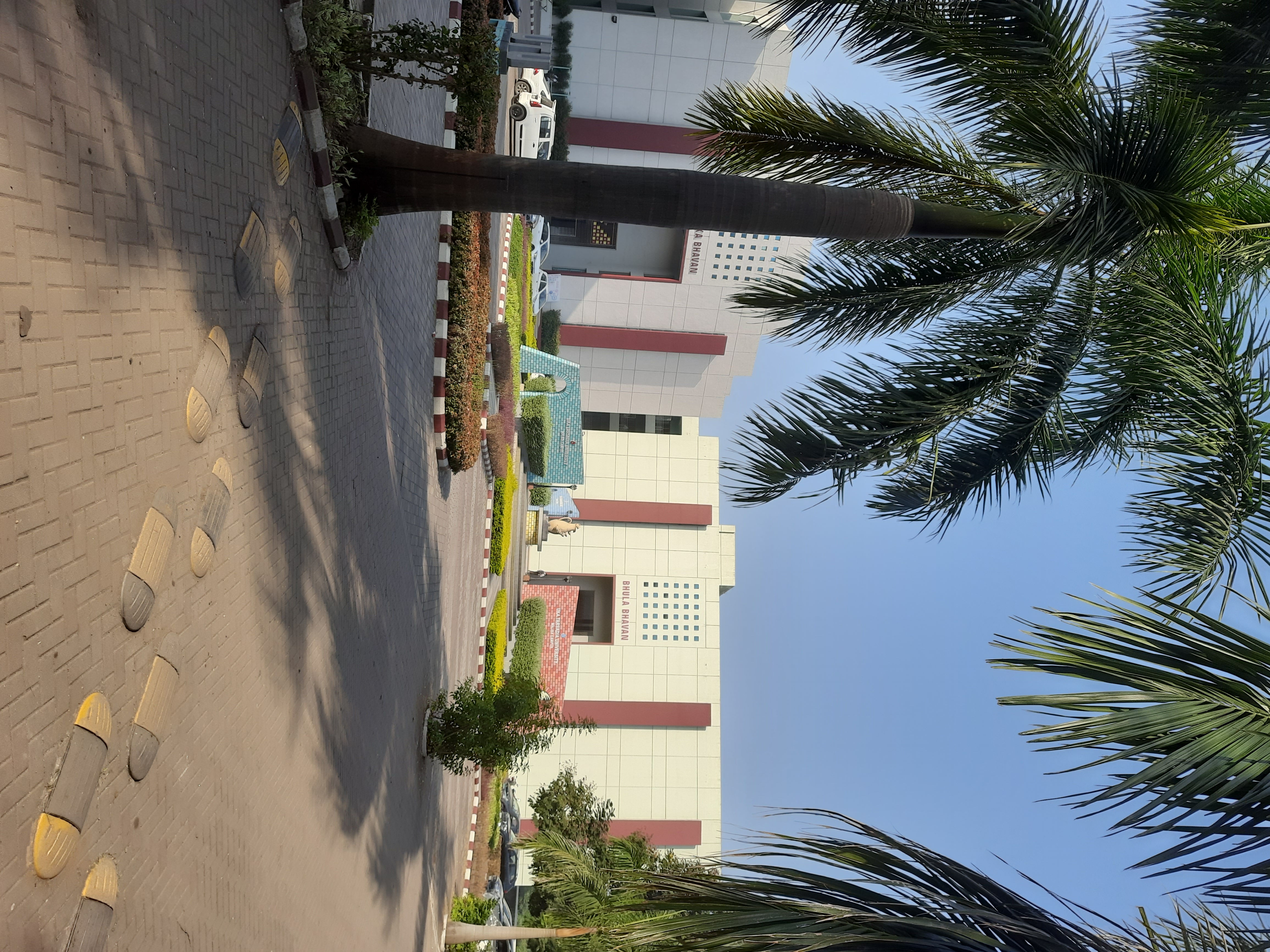 Uka Tarsadia University Bardoli Campus photo (2) by Meet Thummar