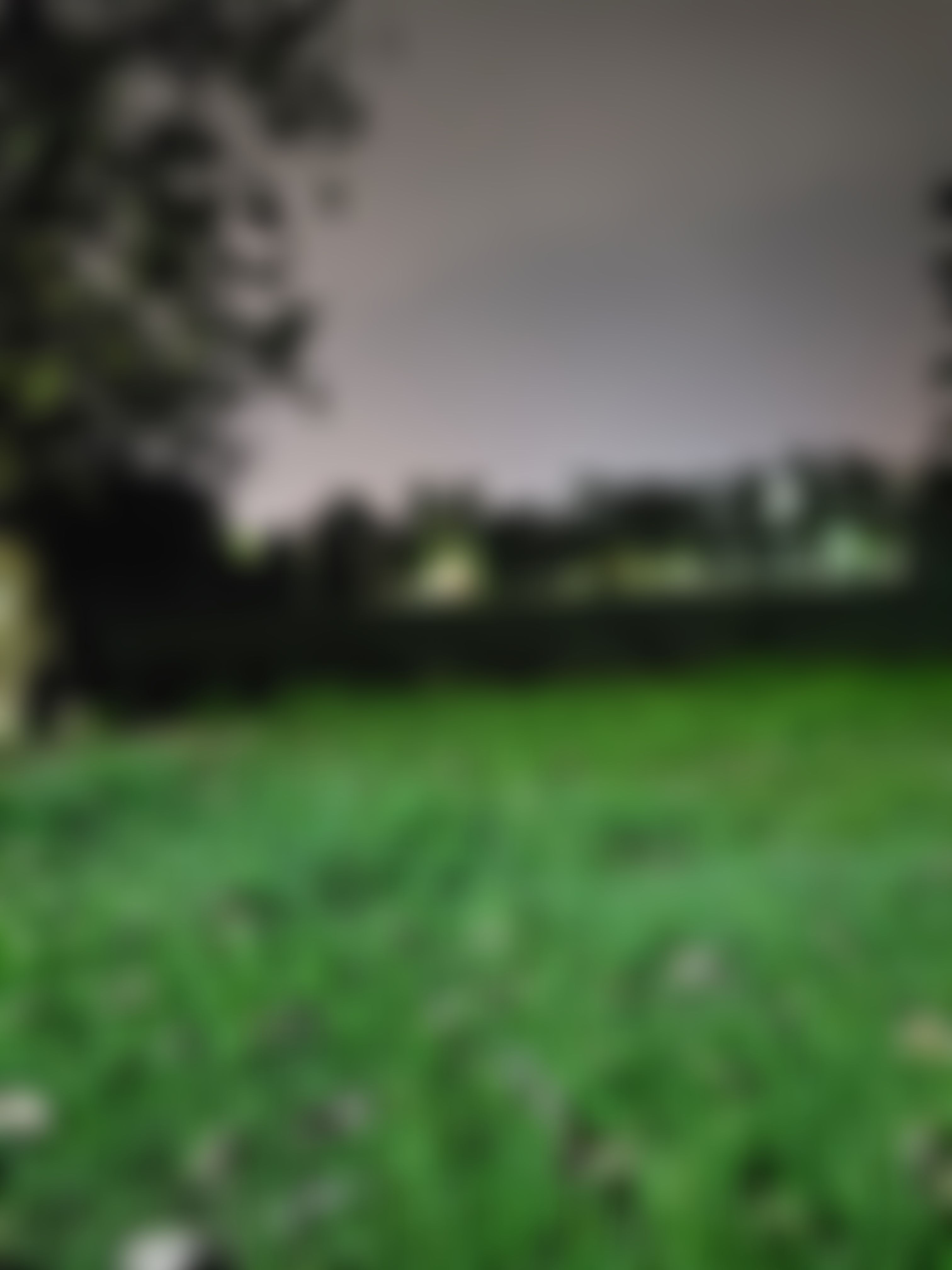IIEST Shibpur Campus photo (17) by Nilesh Banik