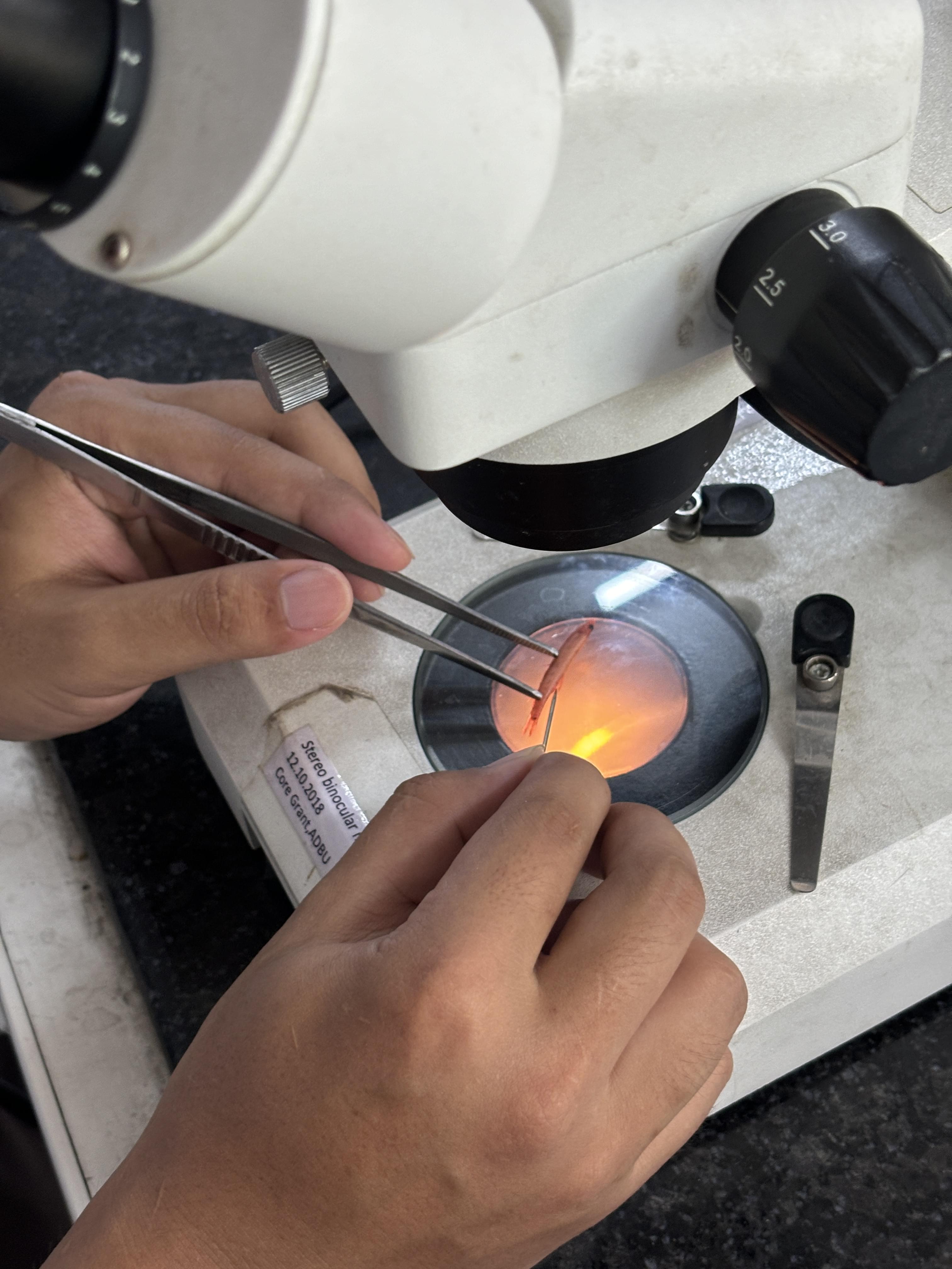 ADBU General photo (2) by Willy Paul Kindo