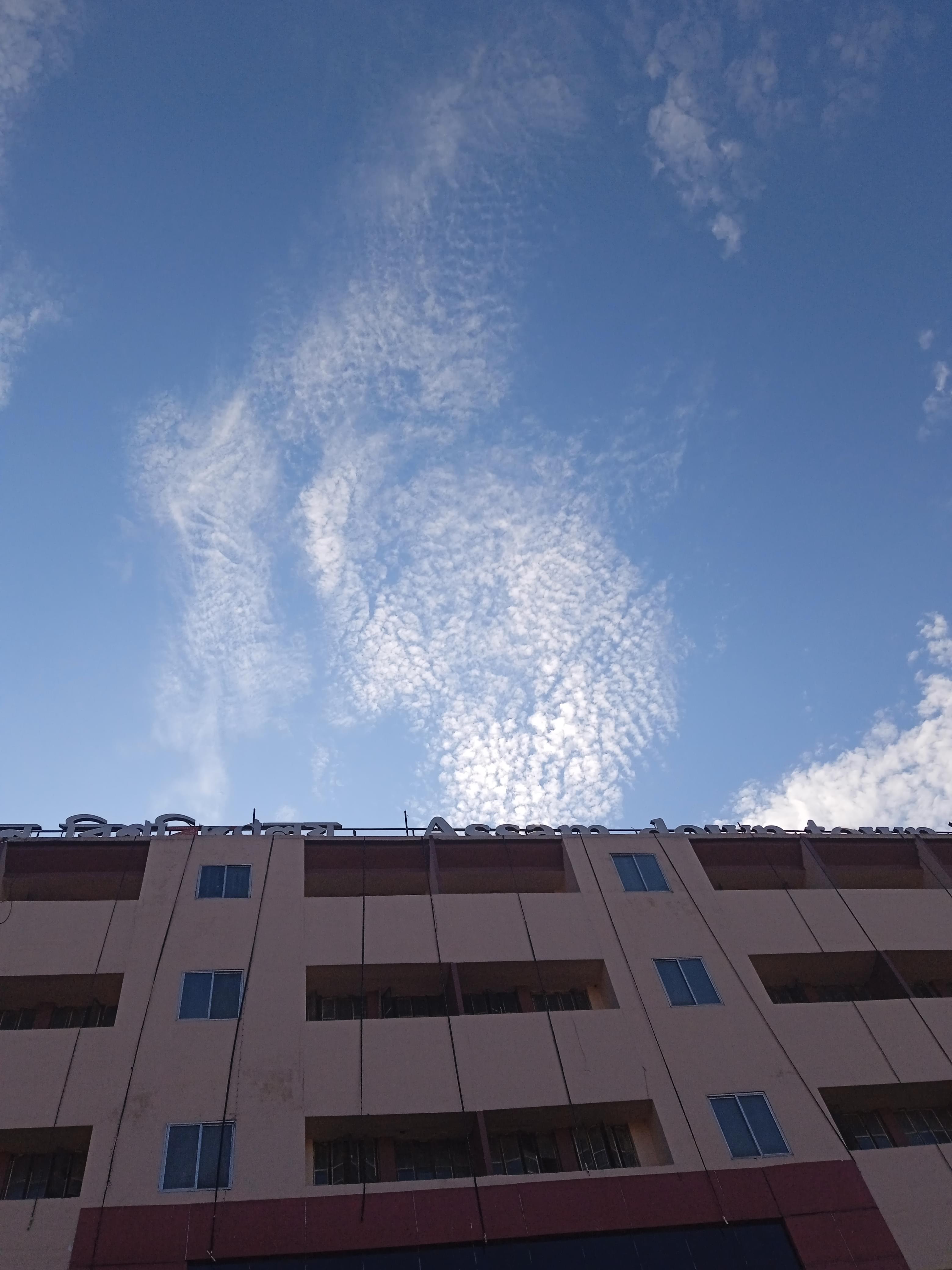 Assam down town University Campus photo 2