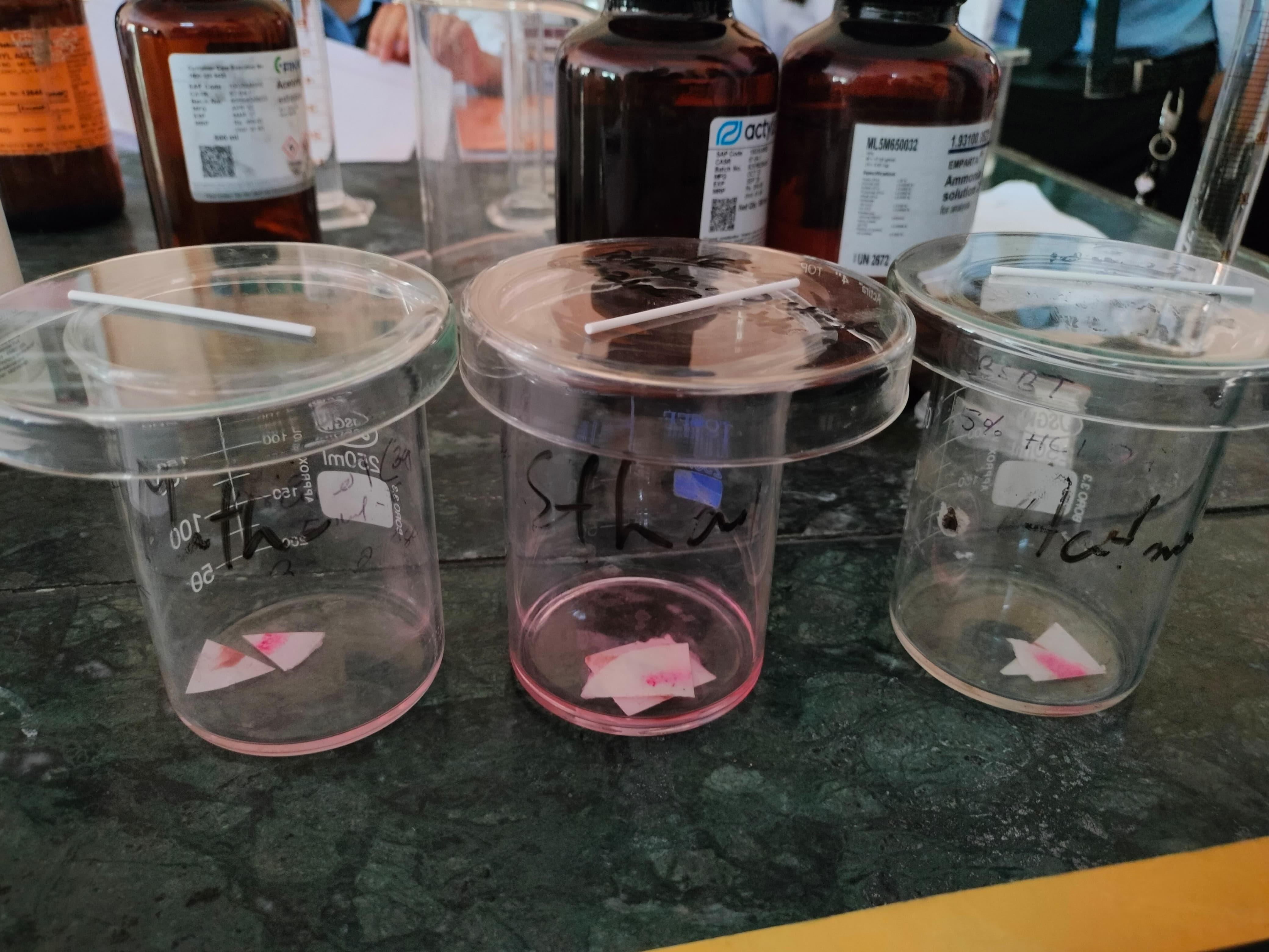 Assam down town University Facilities & Labs photo (11) by Alisha Sharma