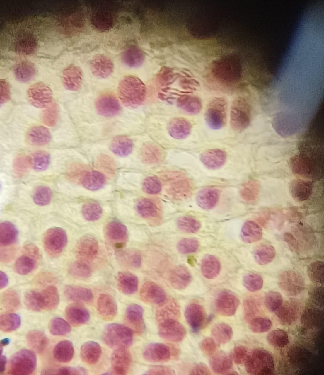 MCC Bangalore Facilities & Labs photo (10) by Soumadri Bhattacharya