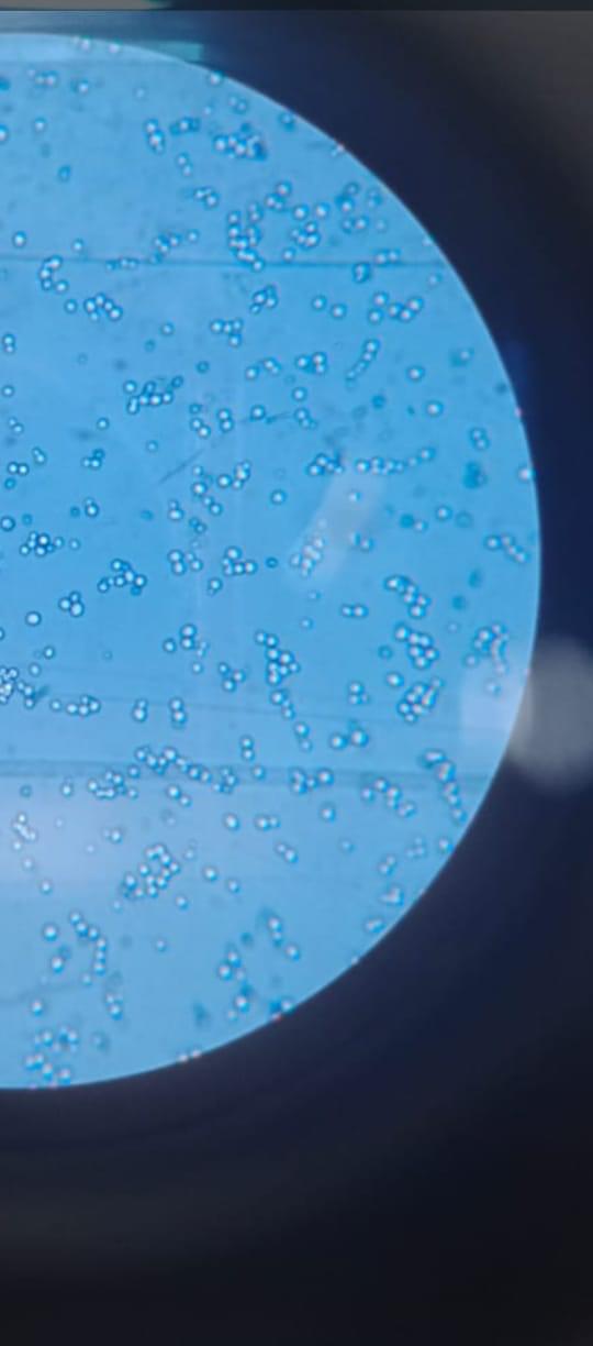 MCC Bangalore Facilities & Labs photo (7) by Soumadri Bhattacharya