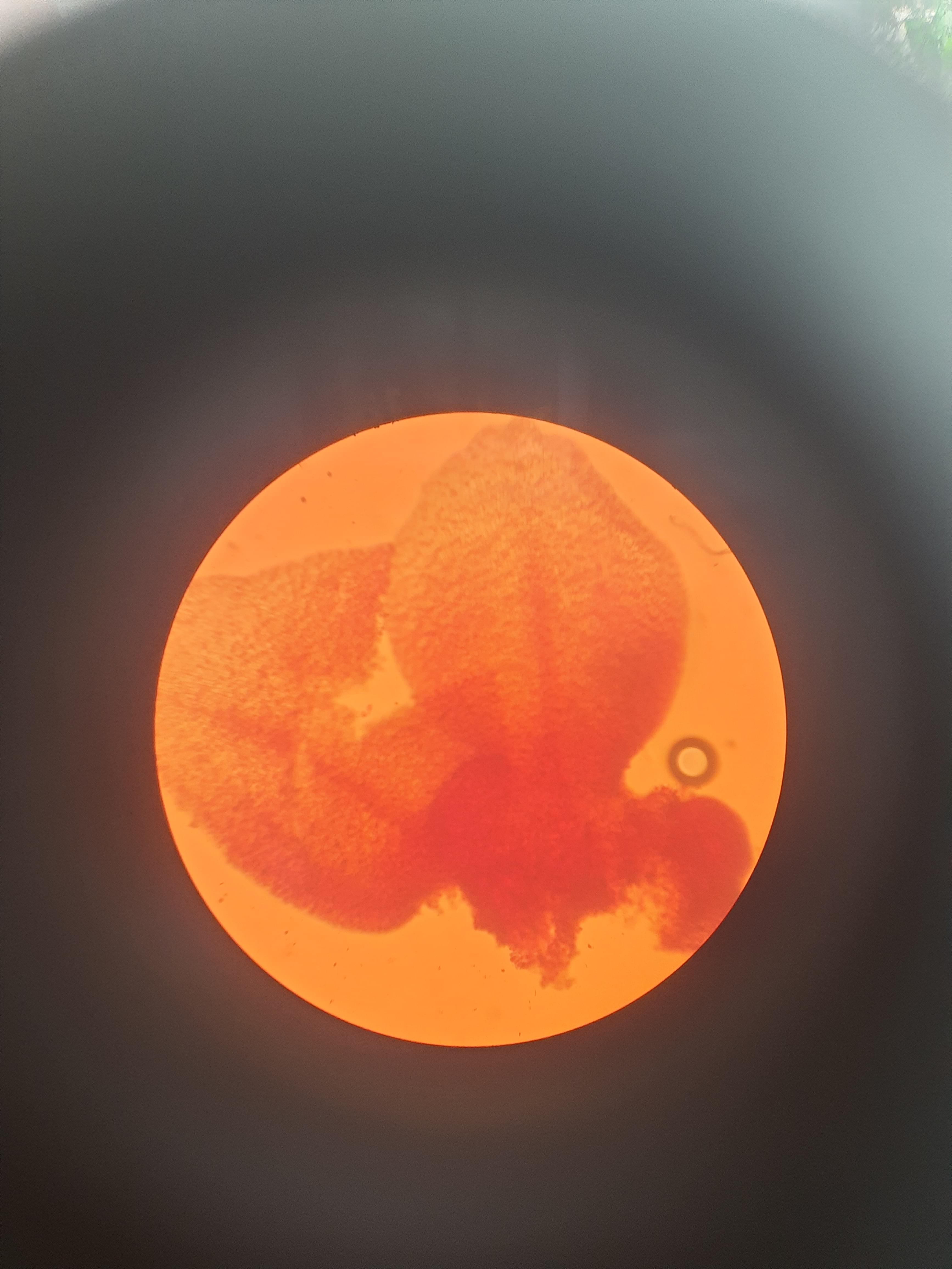 MCC Bangalore Facilities & Labs photo (6) by Soumadri Bhattacharya