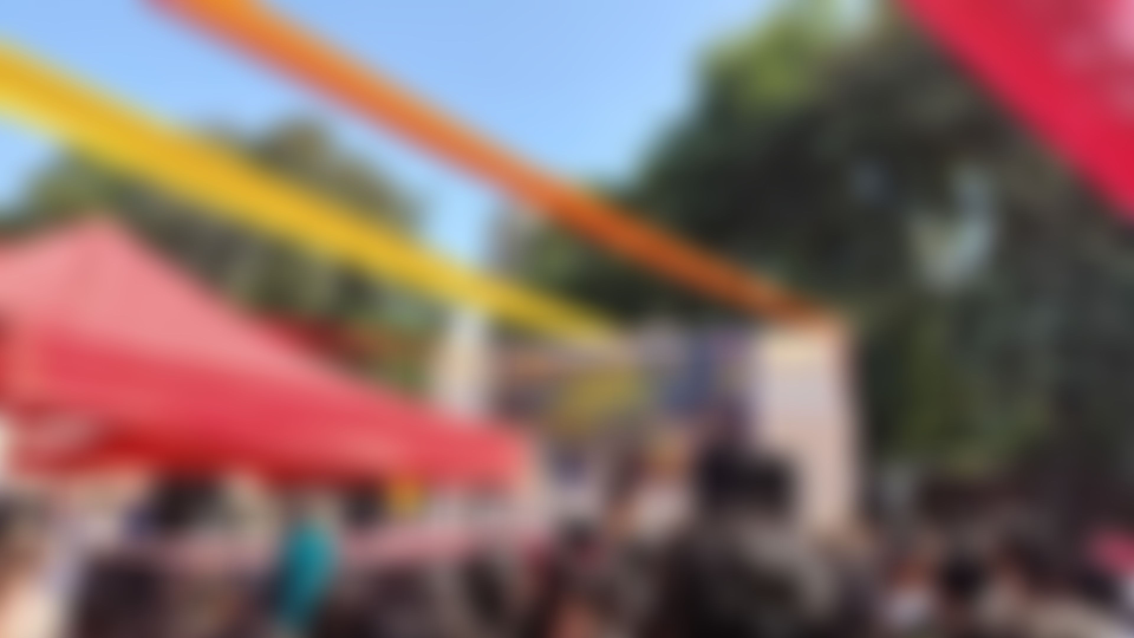 Rajdhani College Events photo (20) by Abhijay Sharma