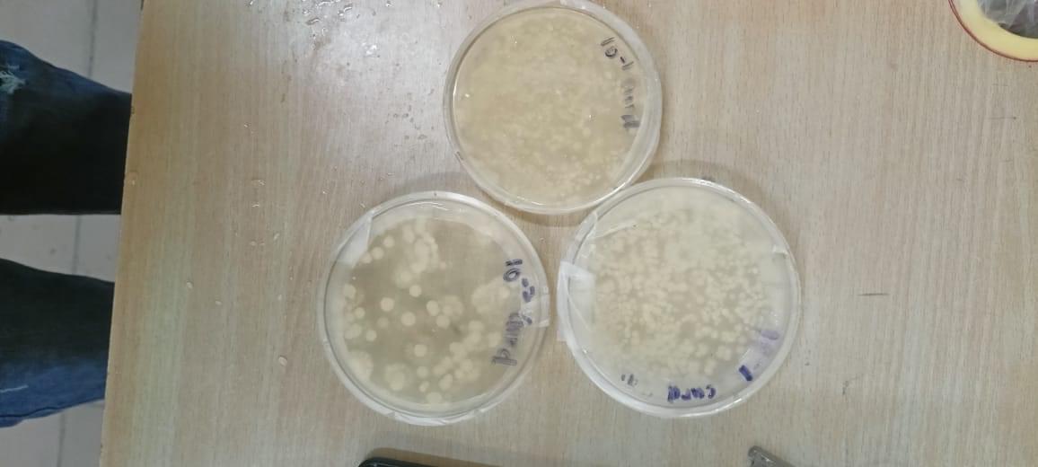 UIET Kurukshetra Facilities & Labs photo (12) by Deepanshu Kaushik