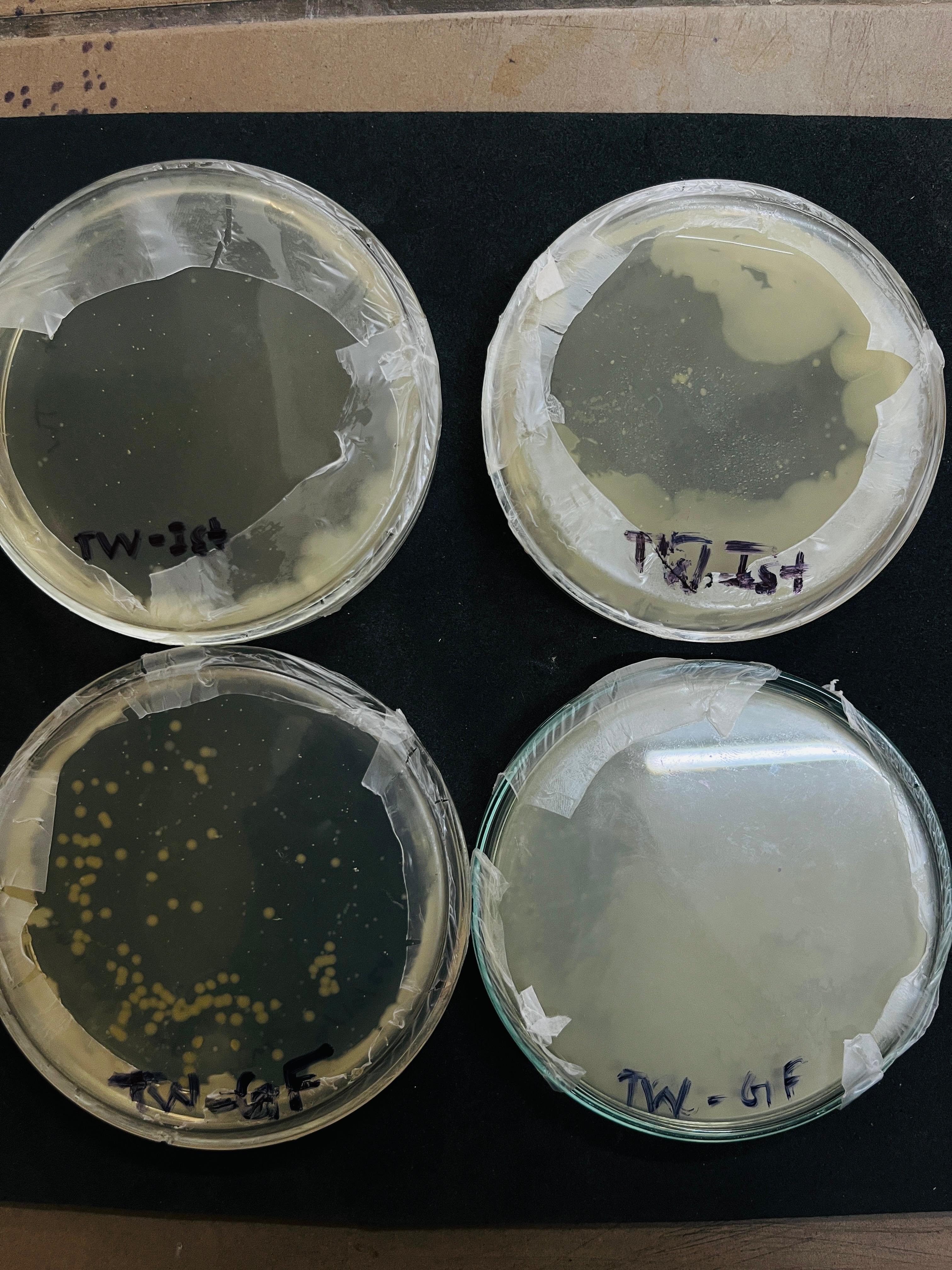 UIET Kurukshetra Facilities & Labs photo (9) by Deepanshu Kaushik