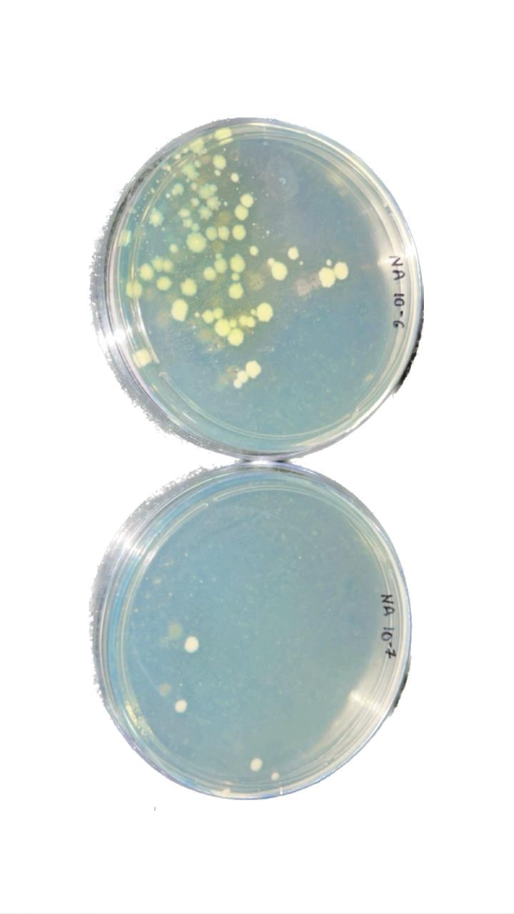 UIET Kurukshetra Facilities & Labs photo (11) by Deepanshu Kaushik