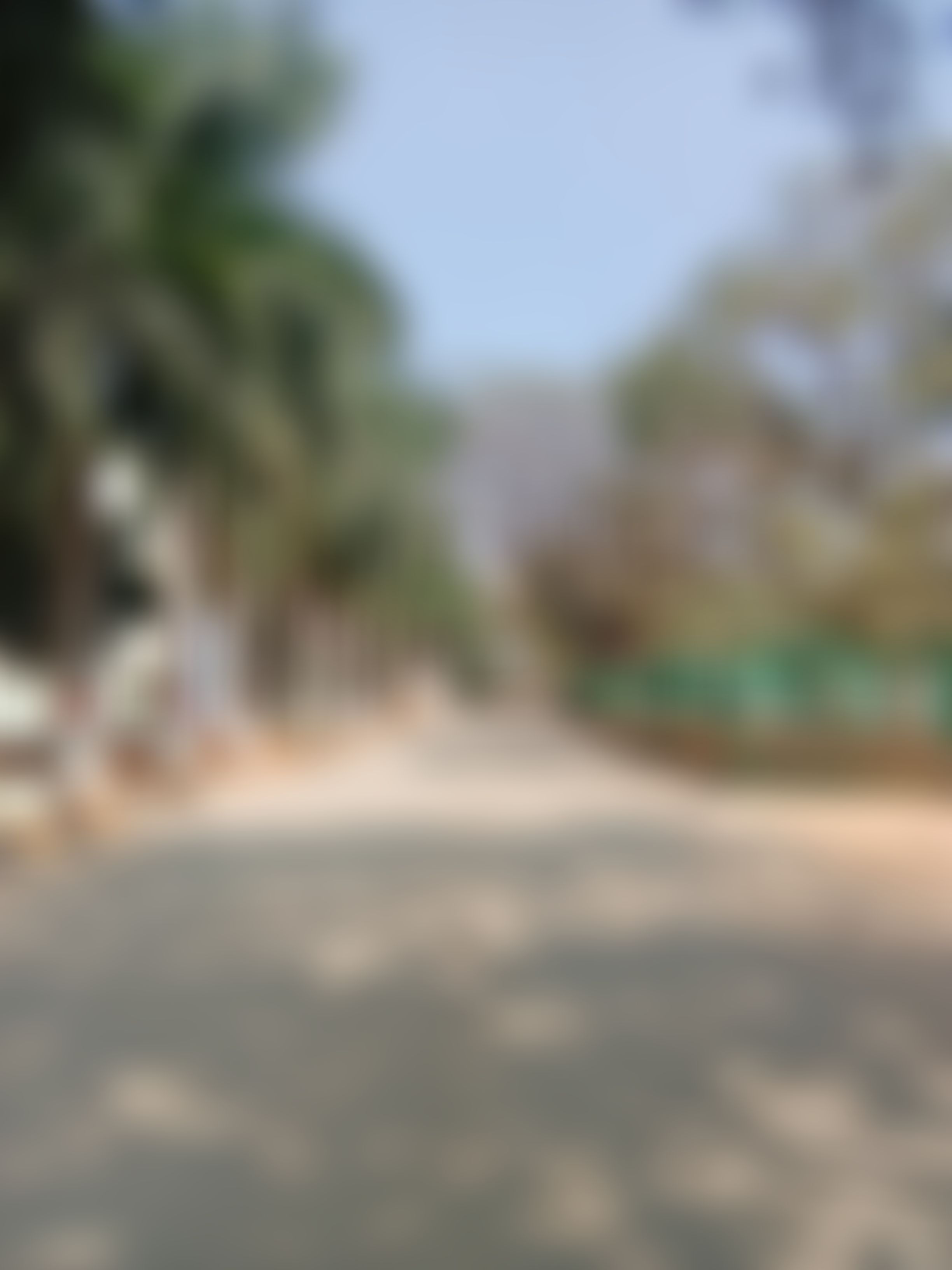 T. John College of Nursing Bangalore Infrastructure & Academic Building photo (4) by Mariya Viji