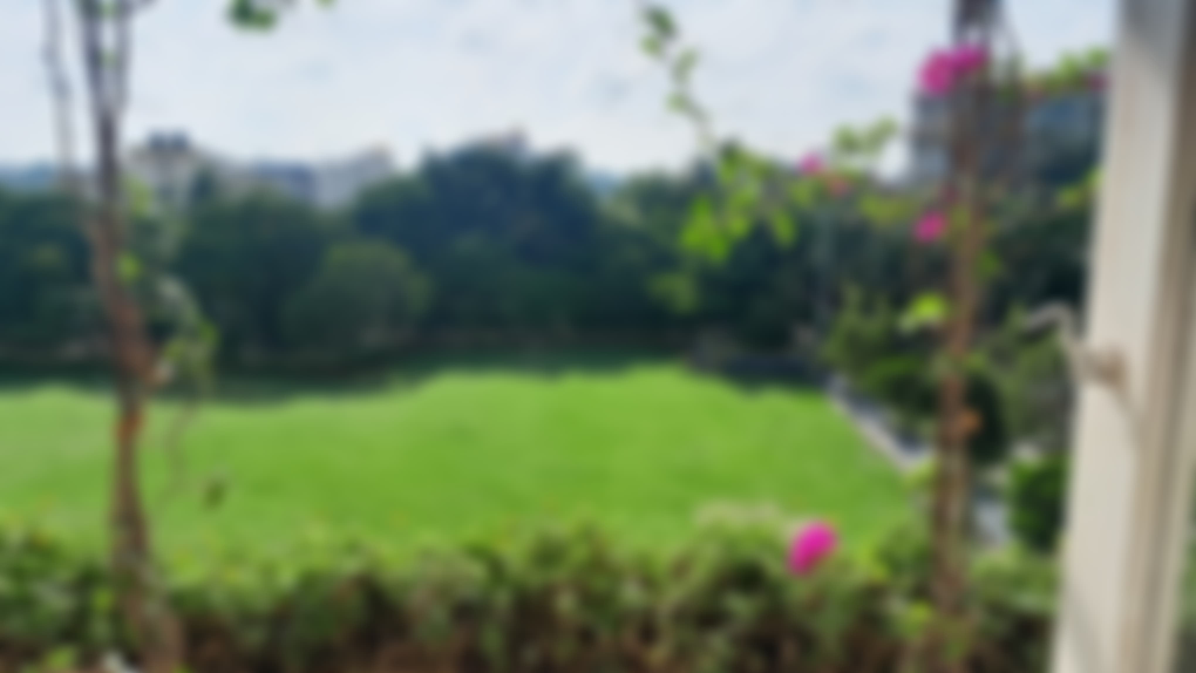 Kristu Jayanti University (Deemed to be University) Campus photo (20) by N RASIKA