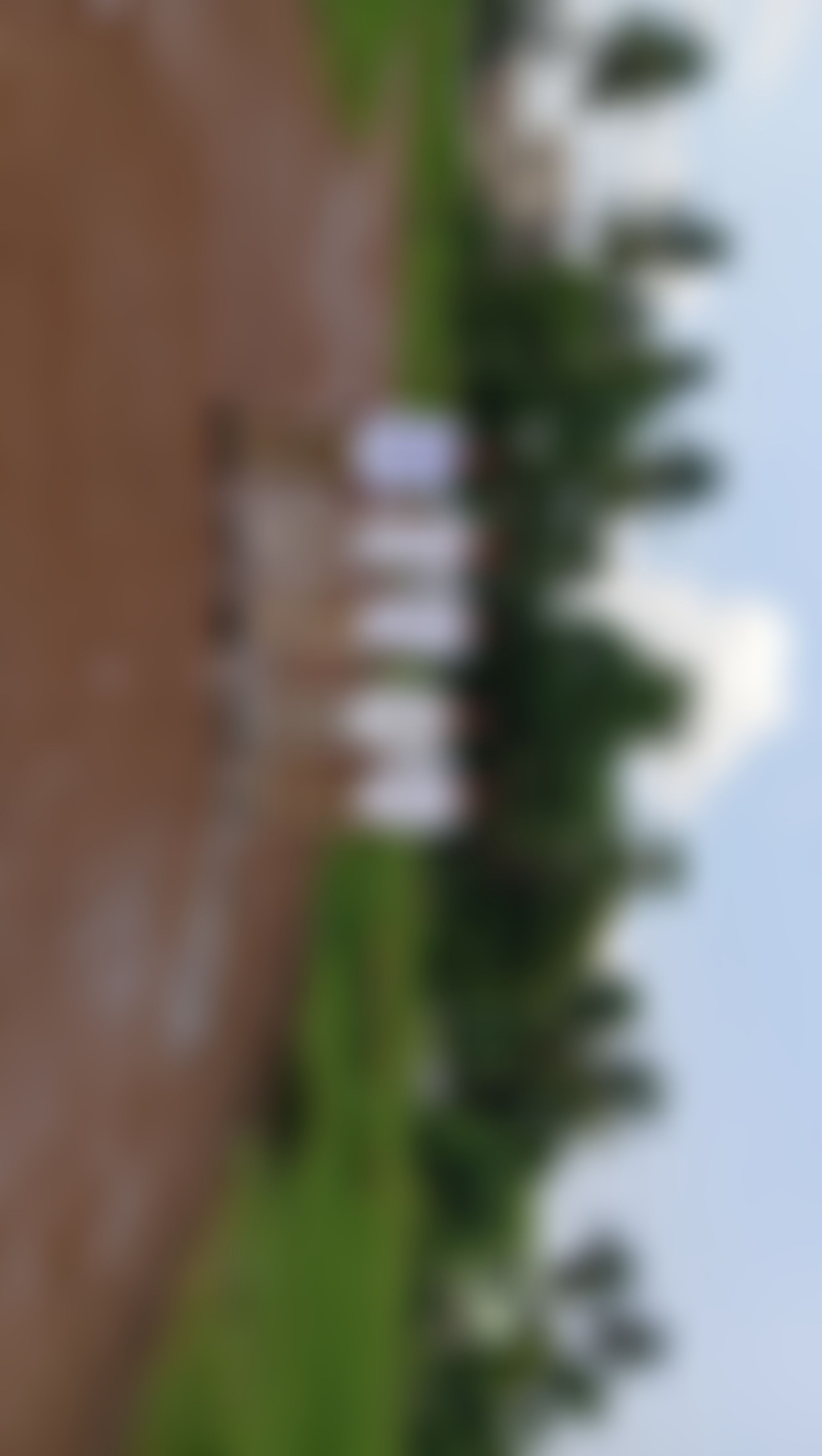 Andhra Polytechnic College Kakinada Campus photo (6) by Swaroop