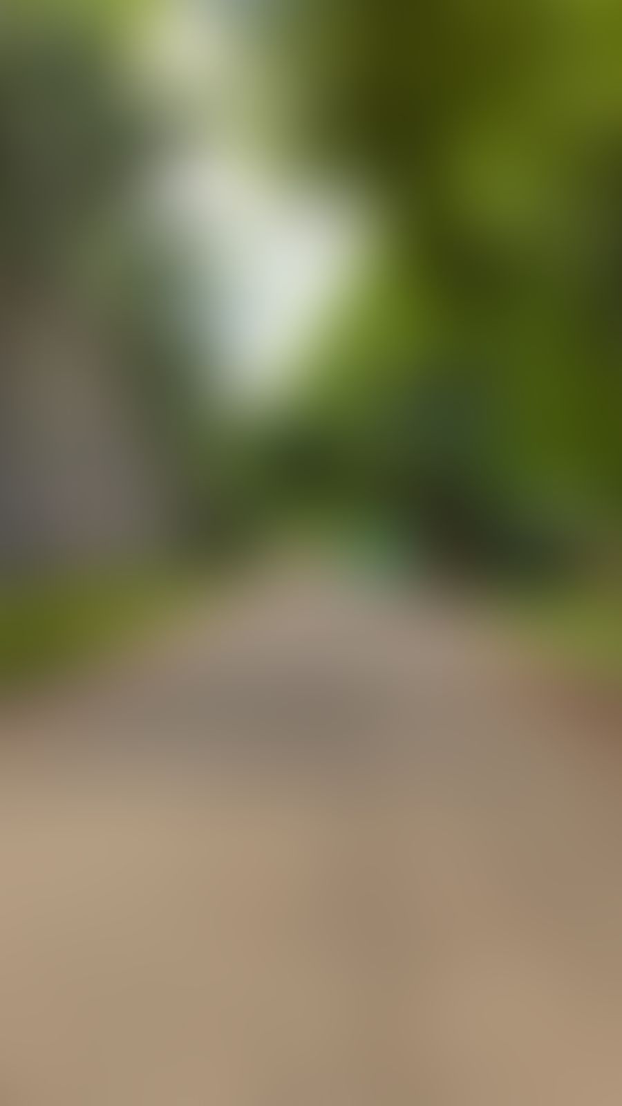 SHUATS Campus photo (13) by Sashwat Tiwari