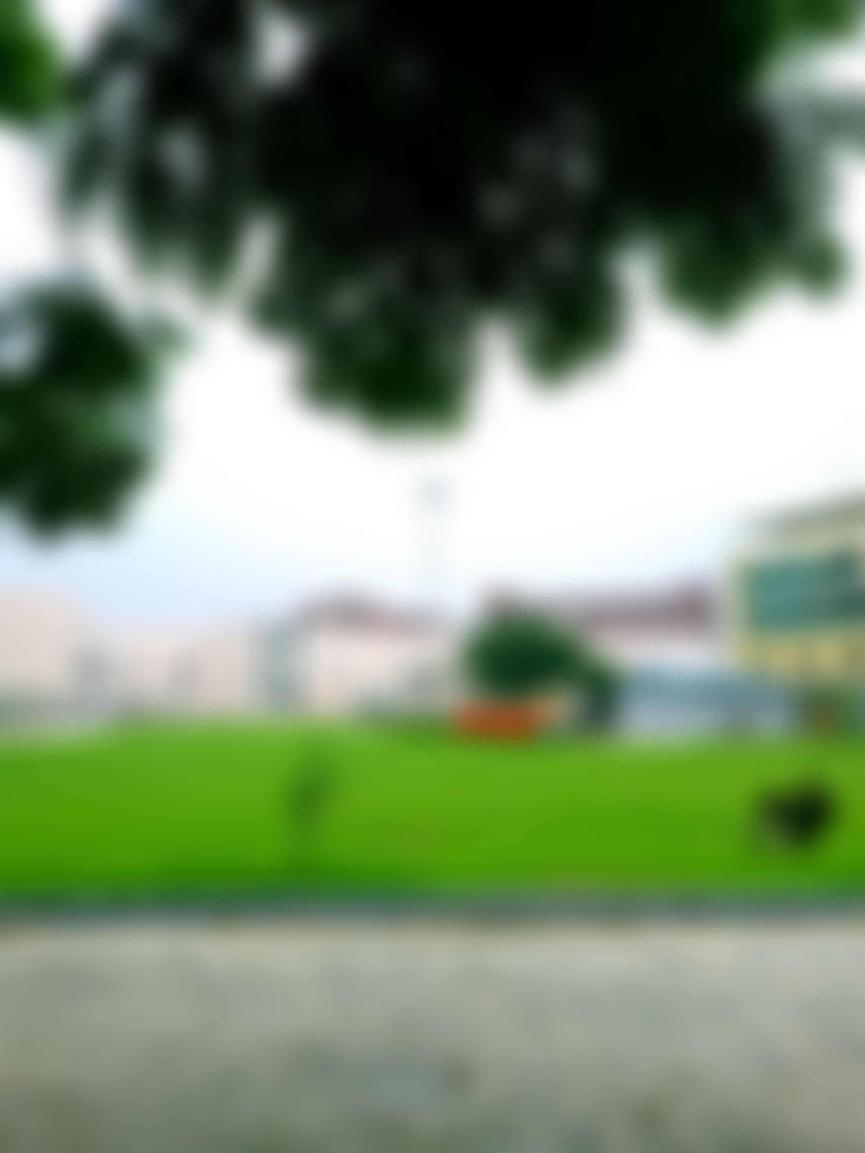 WUD Sonepat Campus photo (9) by ABEER PARASHAR
