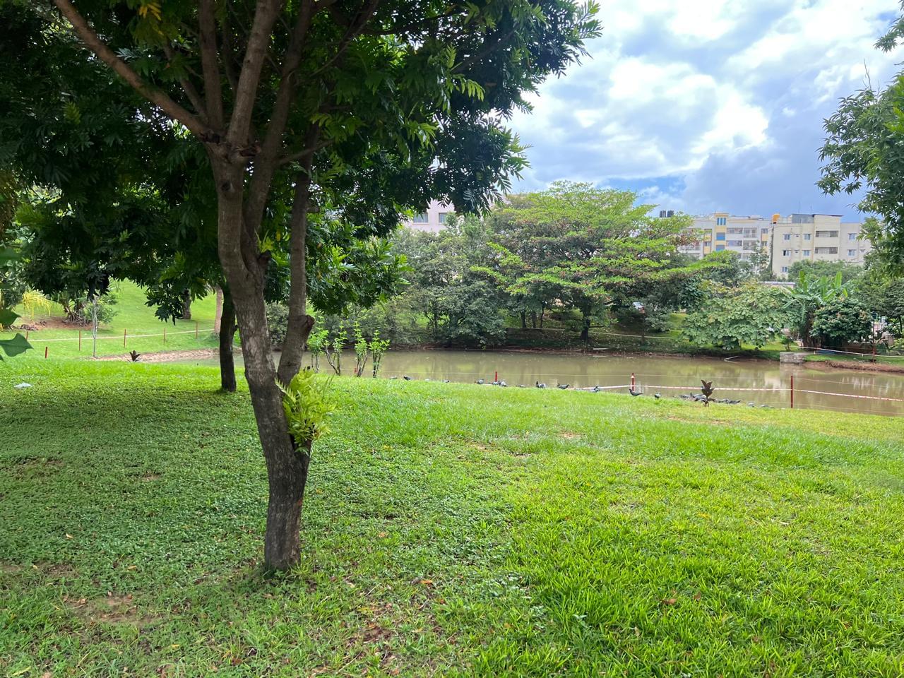 JSS Academy Bangalore Campus photo (8) by Suhas Nanda Kollipara