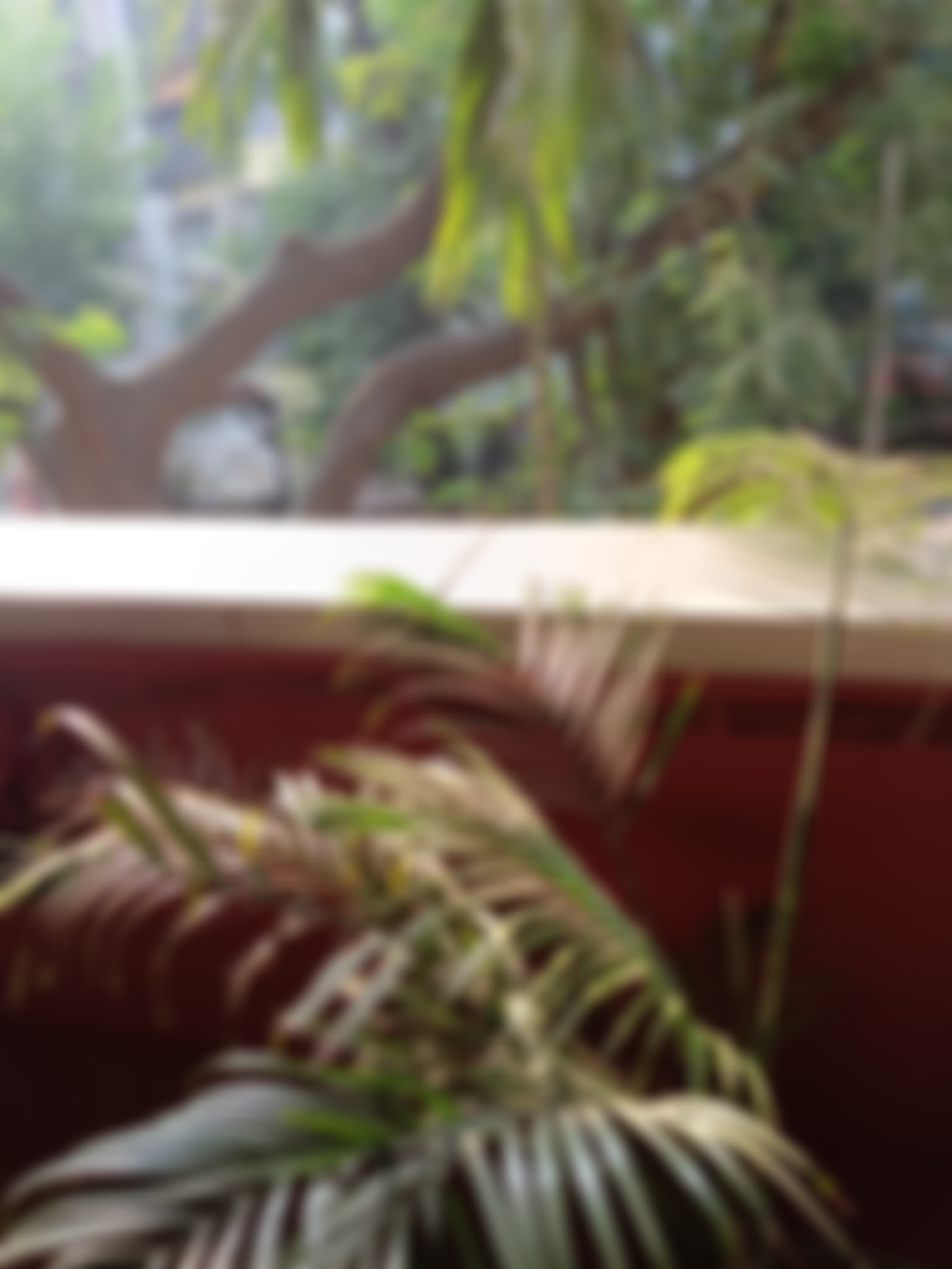 IES's Management College and Research Centre Mumbai Campus photo (6) by Bhavika Shivram Raul