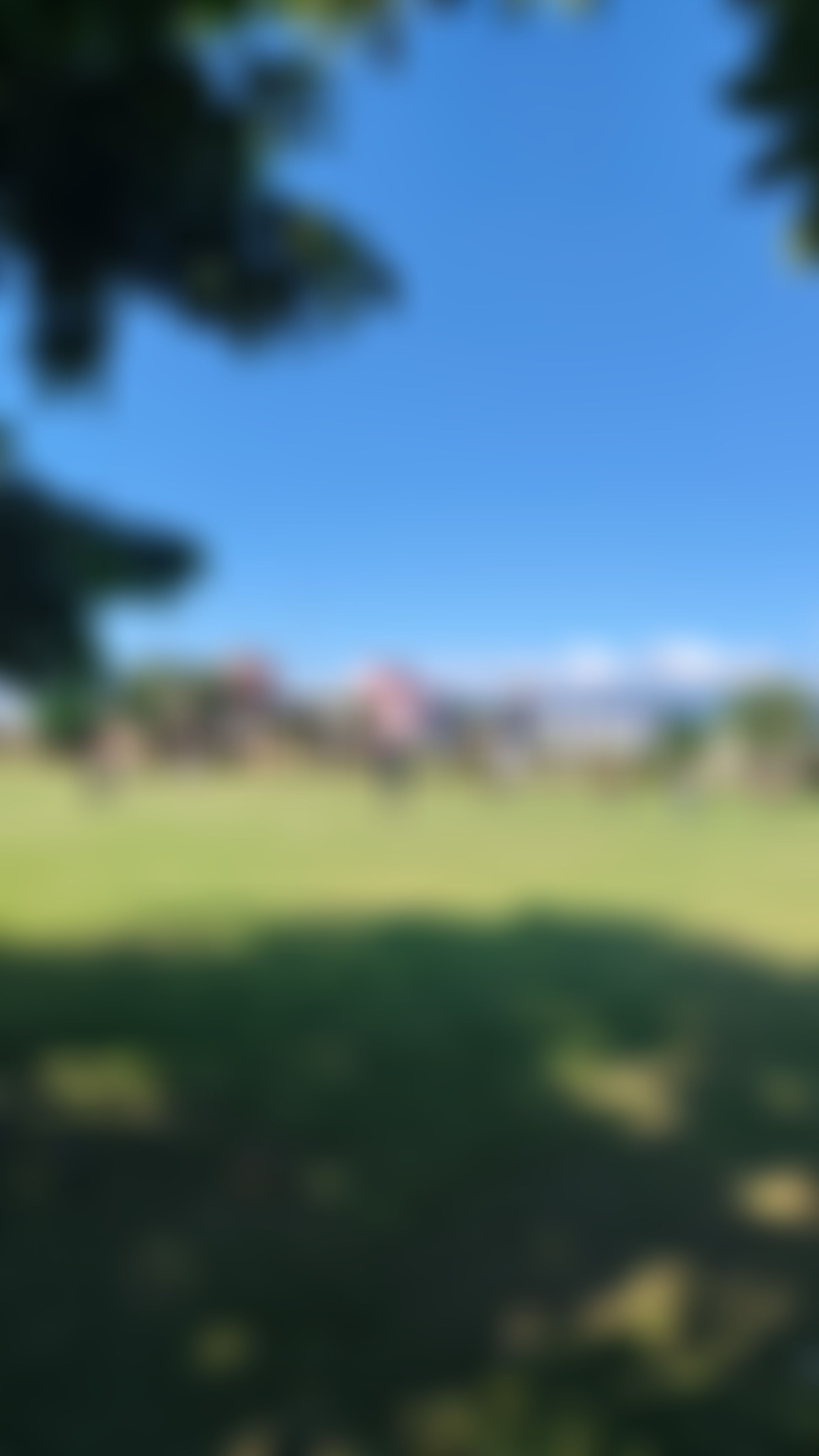 ICFAI University Dehradun Extra-Curricular photo (5) by Apurva Rawat