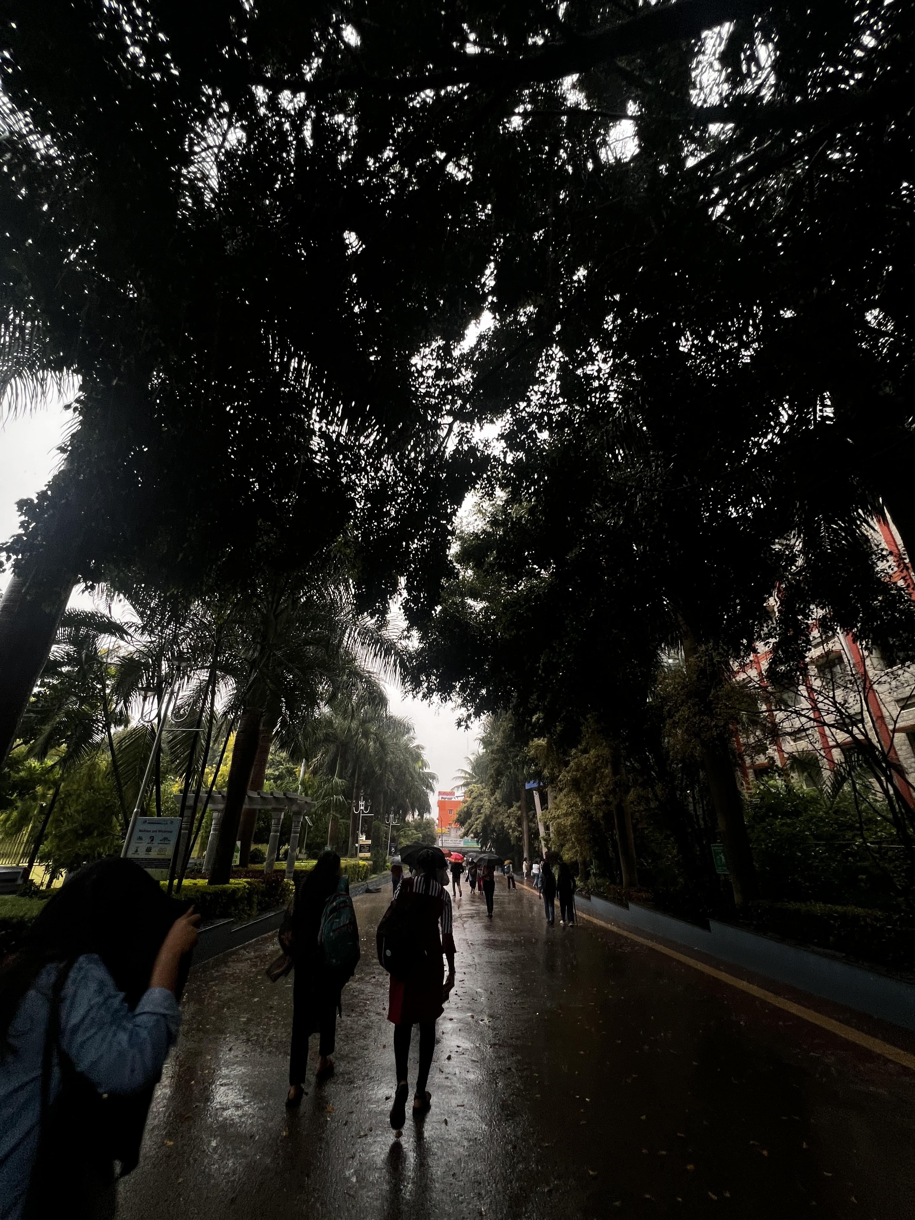 Kristu Jayanti University (Deemed to be University) Events photo (16) by Dhenushri