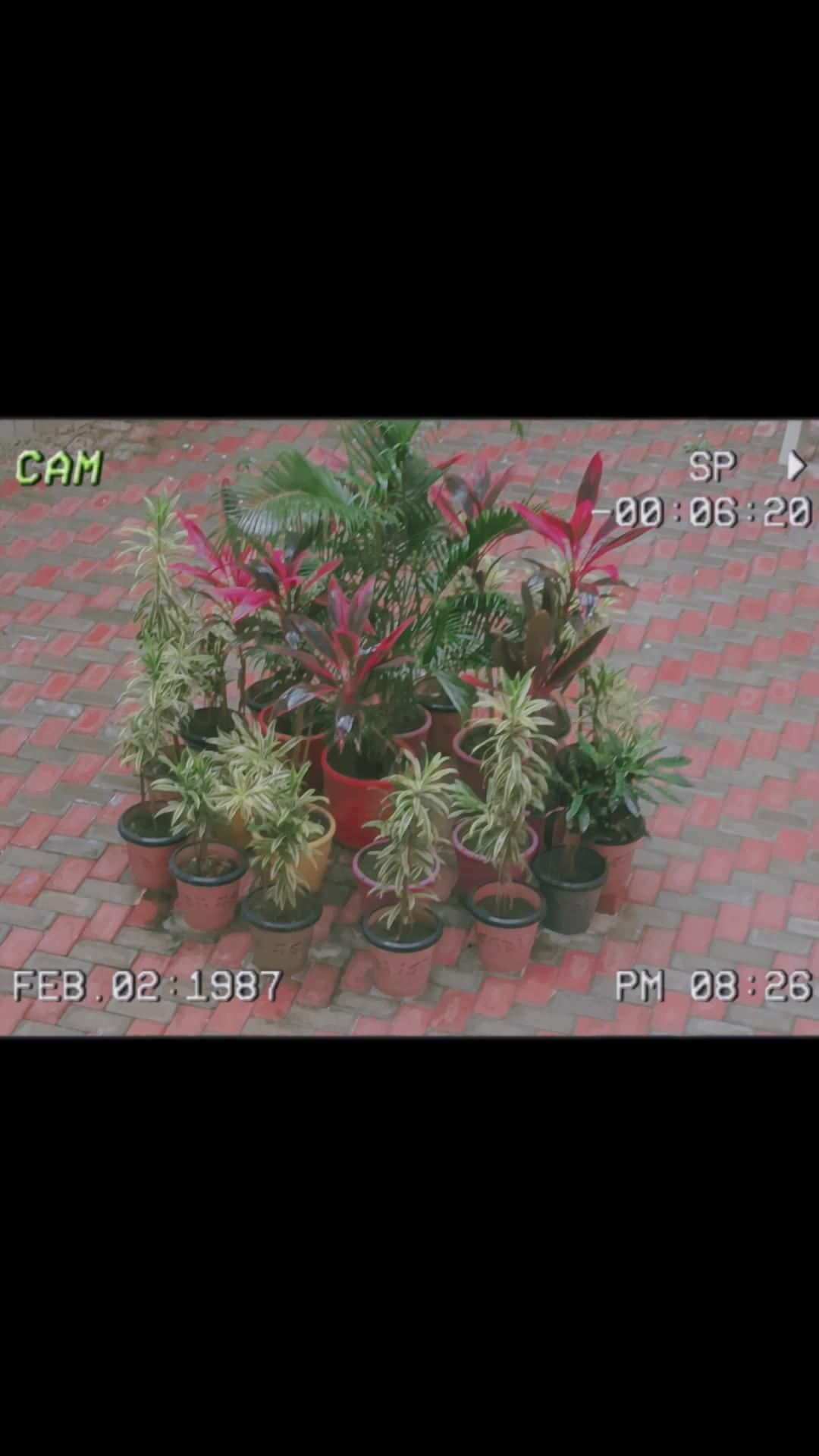 LNCT Group of Colleges Campus photo 6