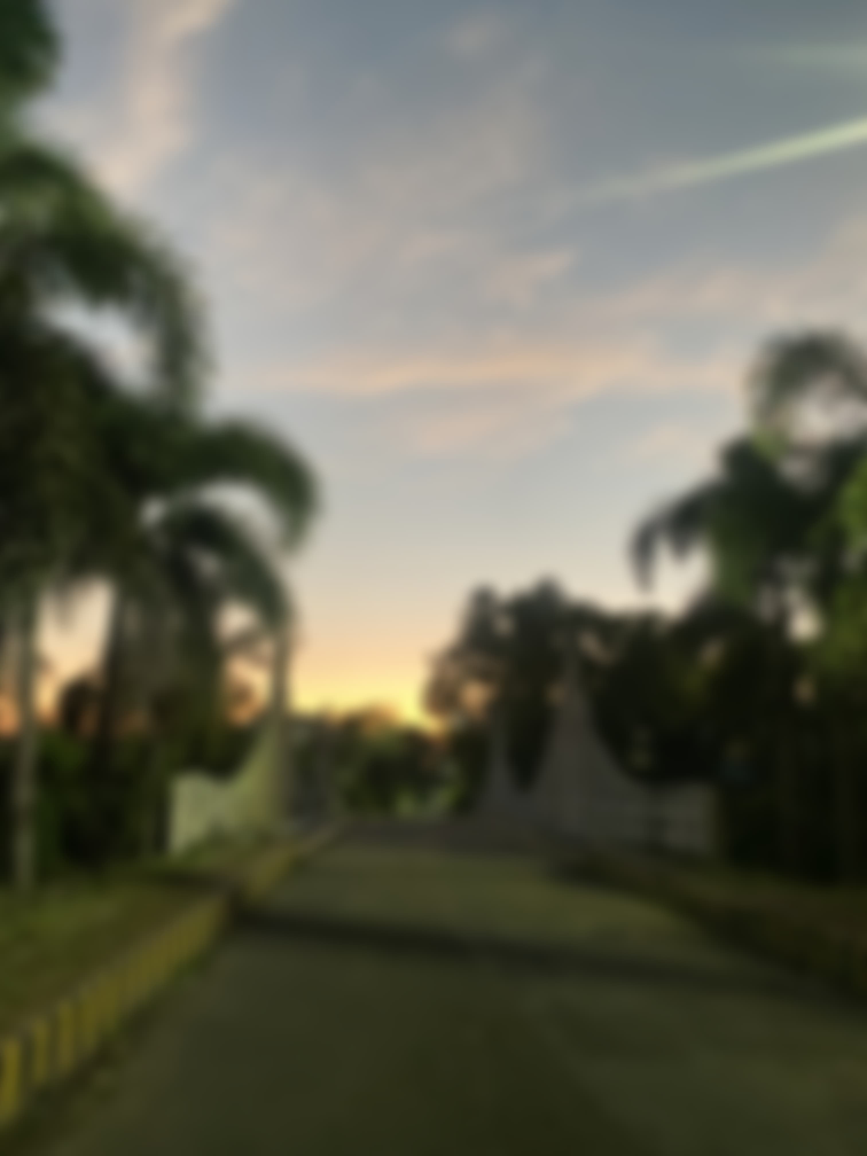 Tripura University West Tripura Campus photo (2) by Bishakha Debbarma