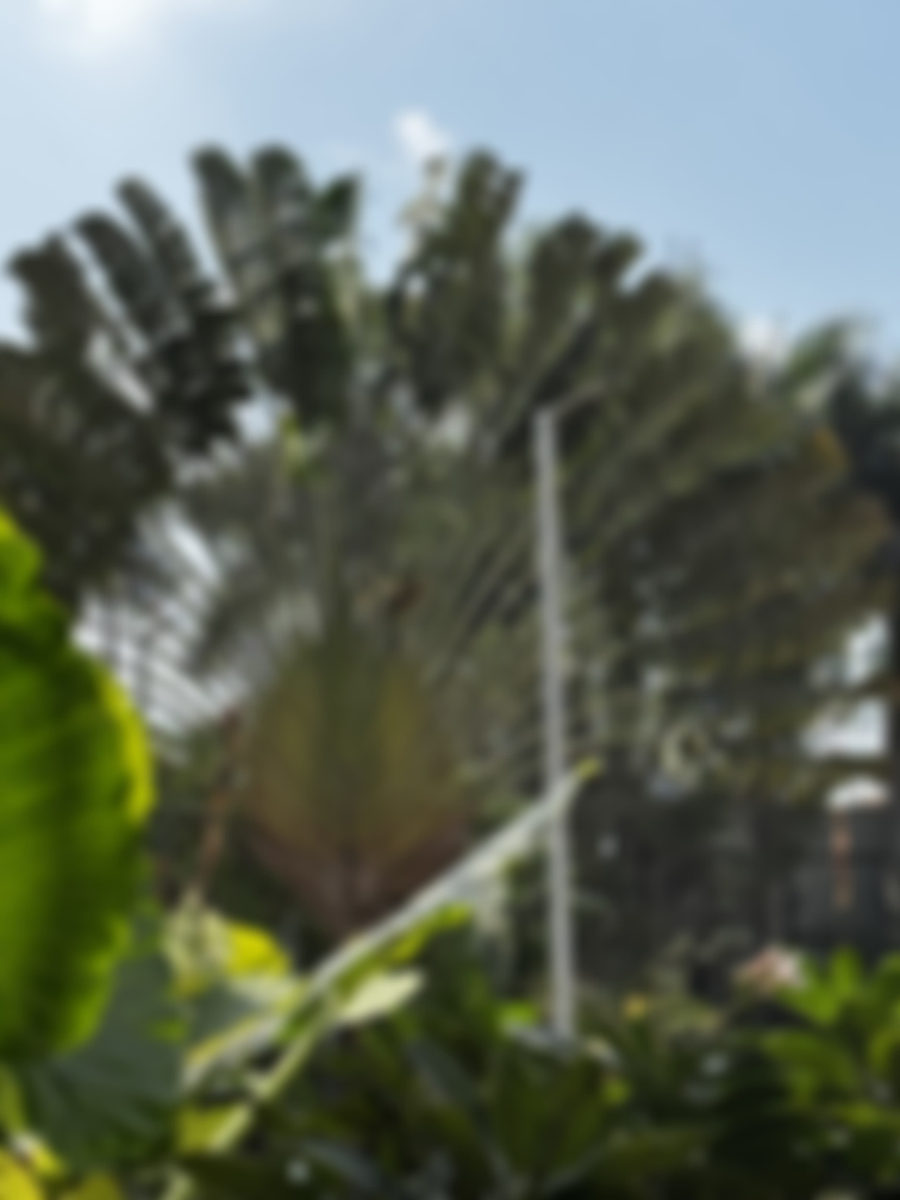 DY Patil School of Engineering & Technology Pune Campus photo (11) by SAURABH BARAI