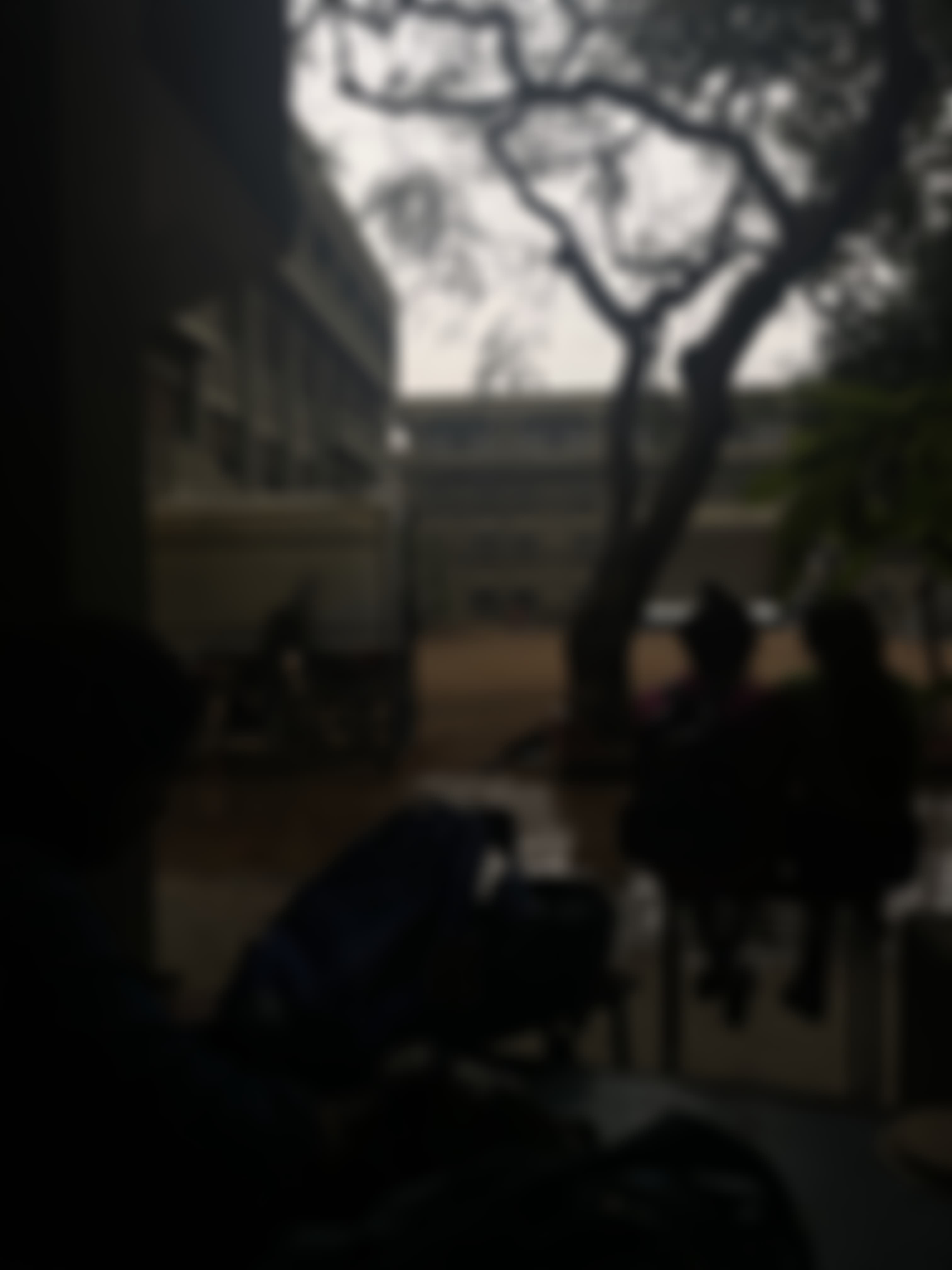 ST Ann's Campus photo (14) by juwairiya khanam