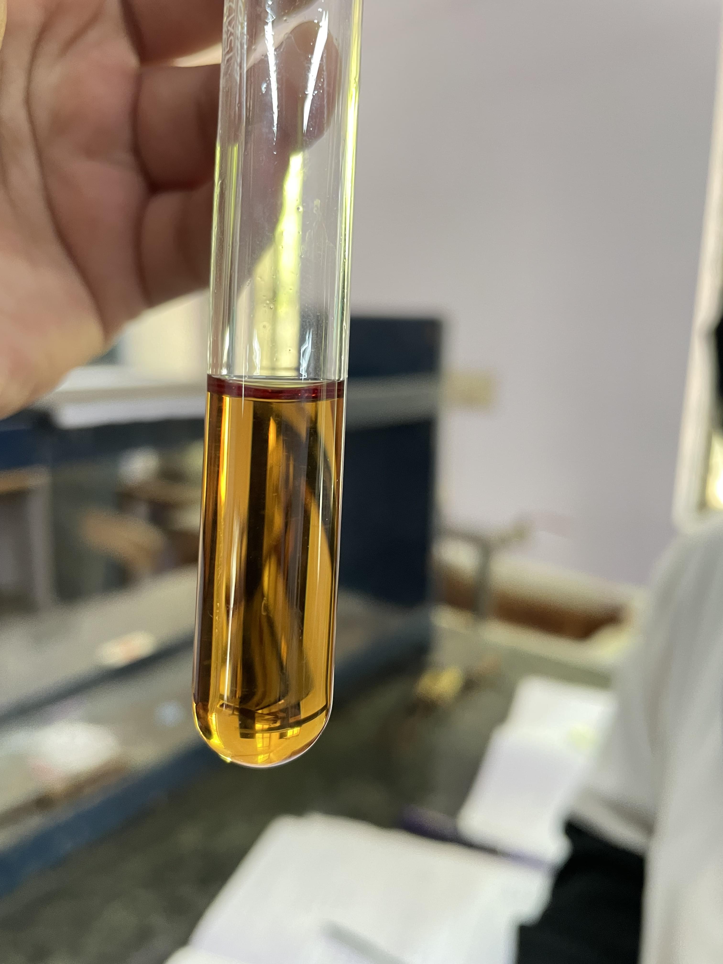 ST Ann's Facilities & Labs photo 2