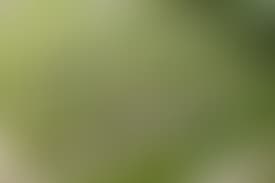 Presidency University, School of Engineering Bangalore Extra-Curricular photo (5) by Manwanth B L
