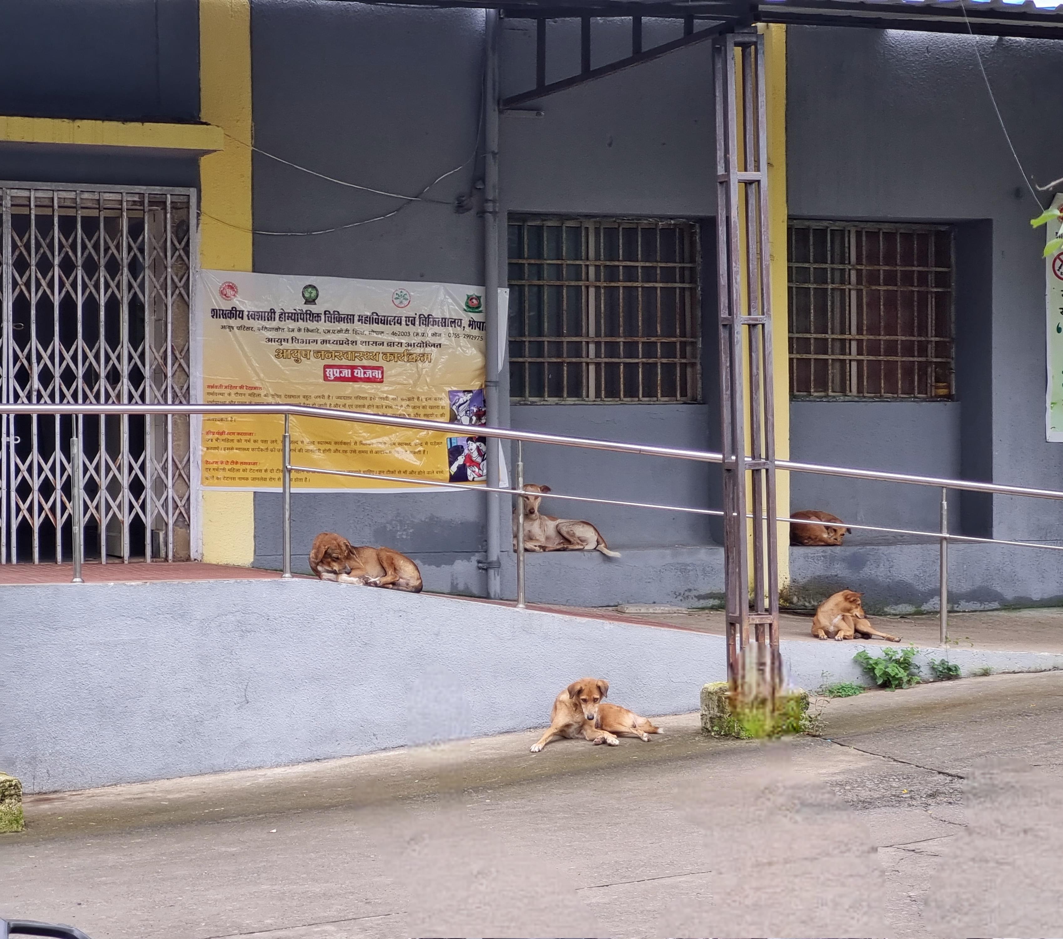 MPMSU Hostels photo 3