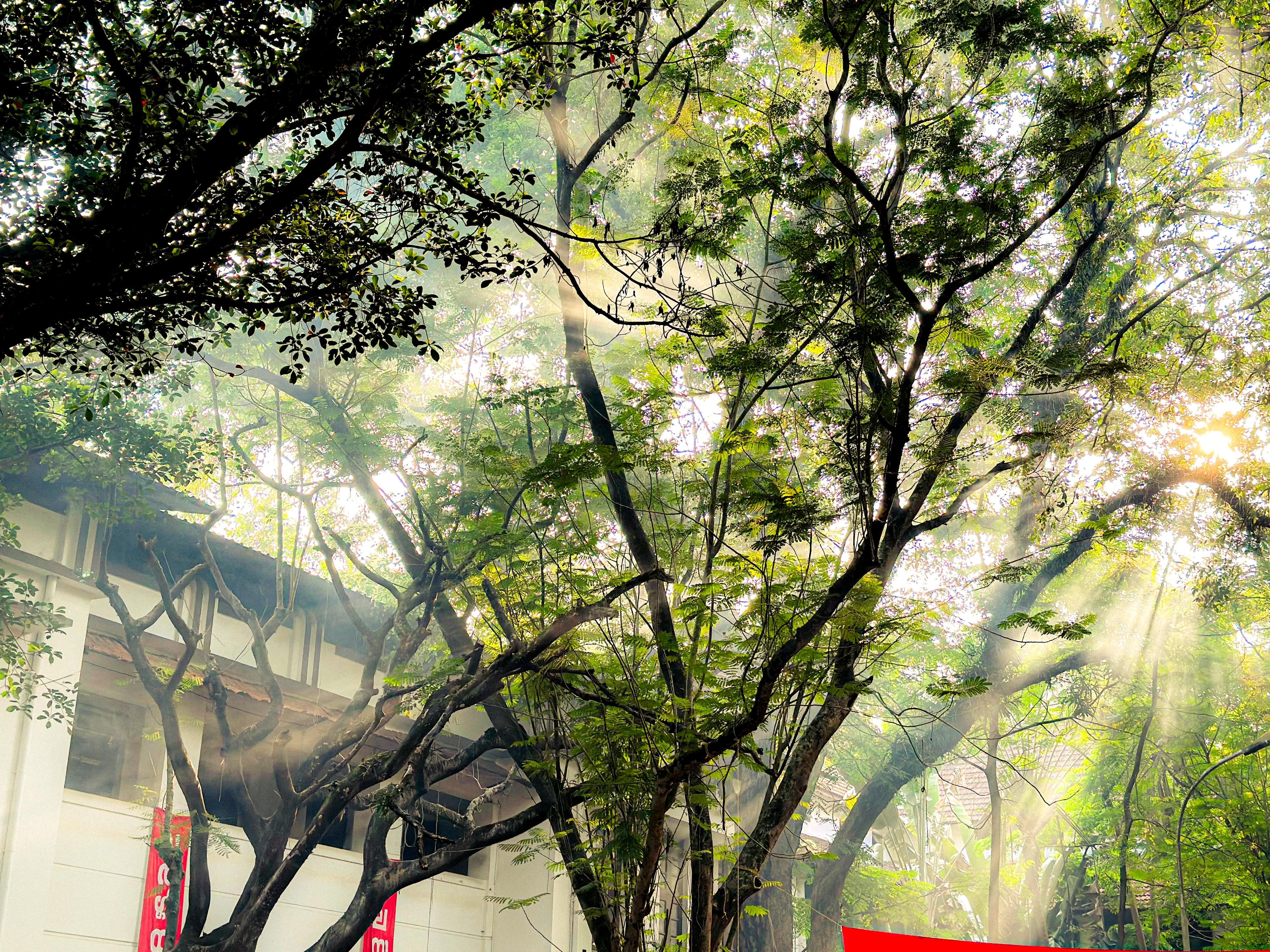 Maharaja's College Ernakulam General photo (4) by Sana nashirin