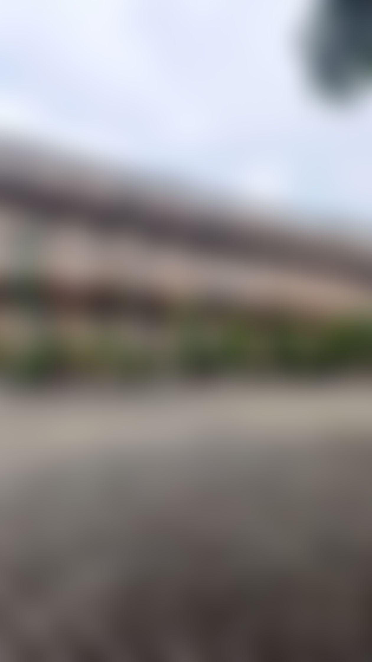 University Maharani College Jaipur Campus photo (5) by Tanistha