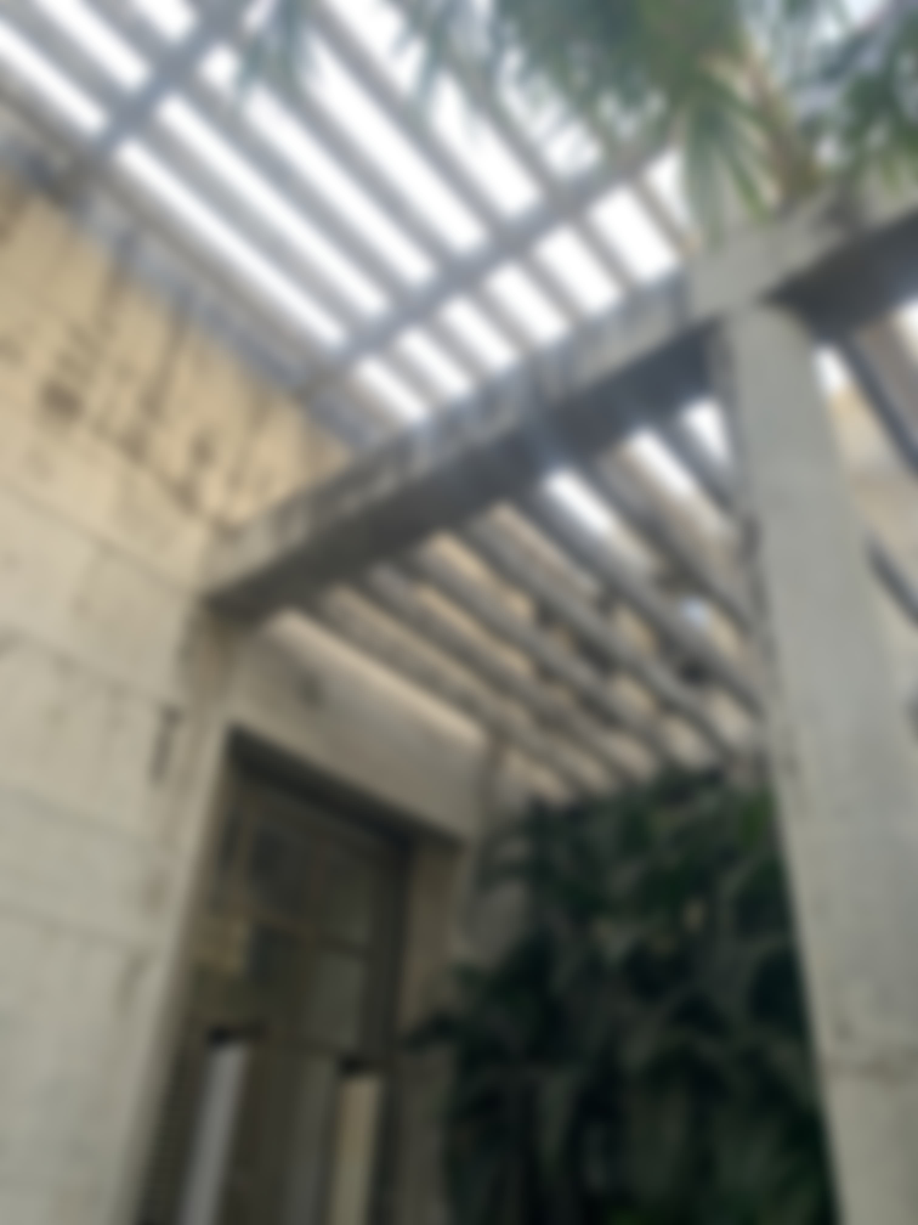 PP Savani University Campus photo (8) by Soumya singh