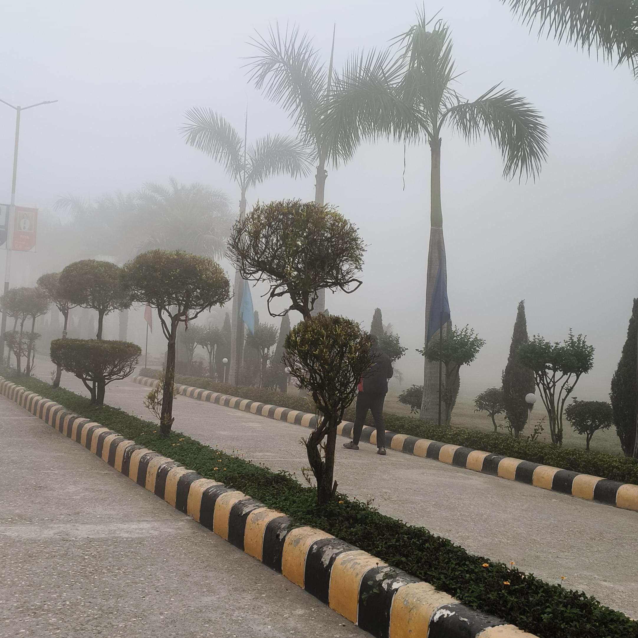 Haridwar University Campus photo (9) by Sweta Bharti