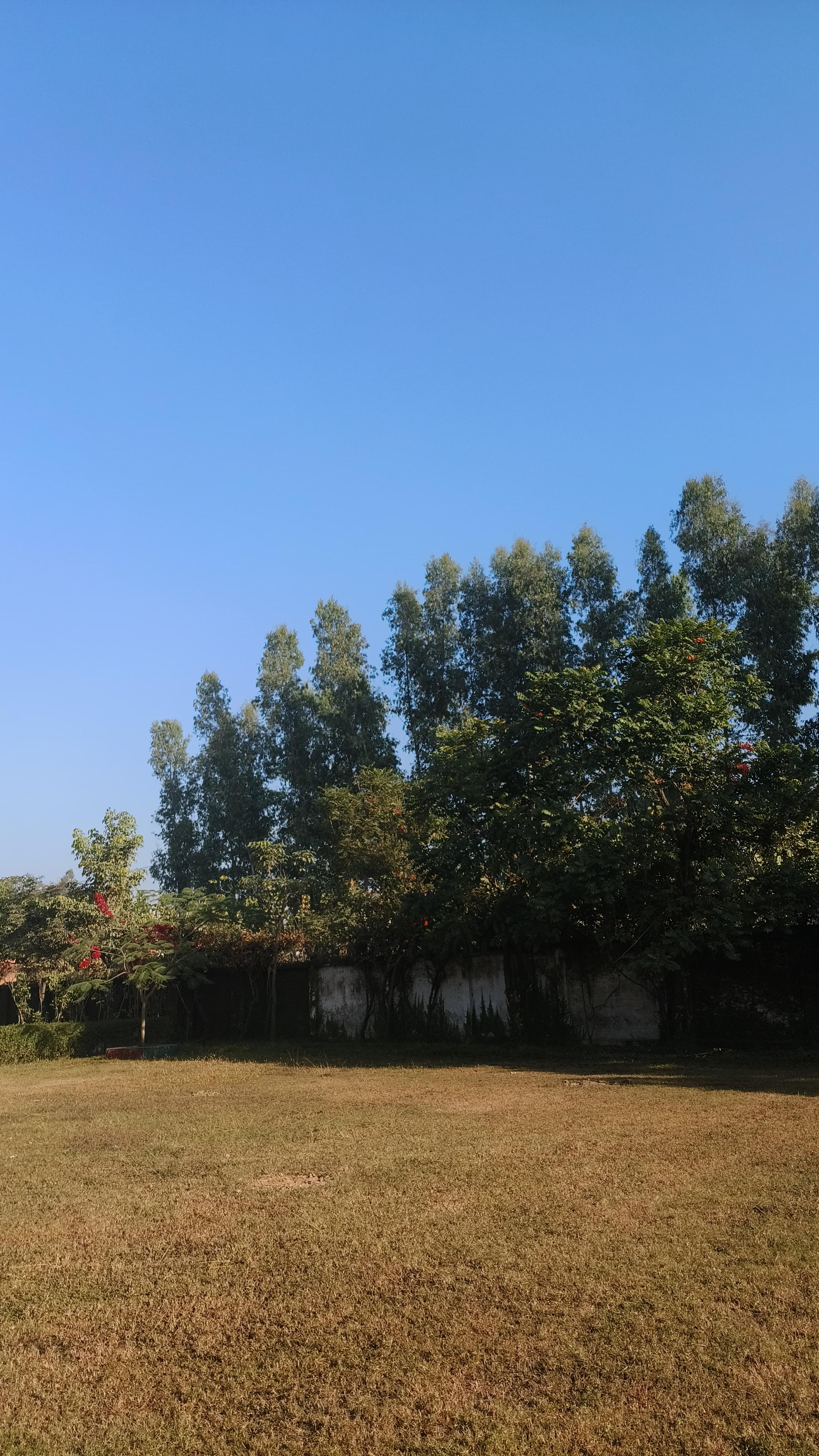Haridwar University Campus photo (8) by Sweta Bharti