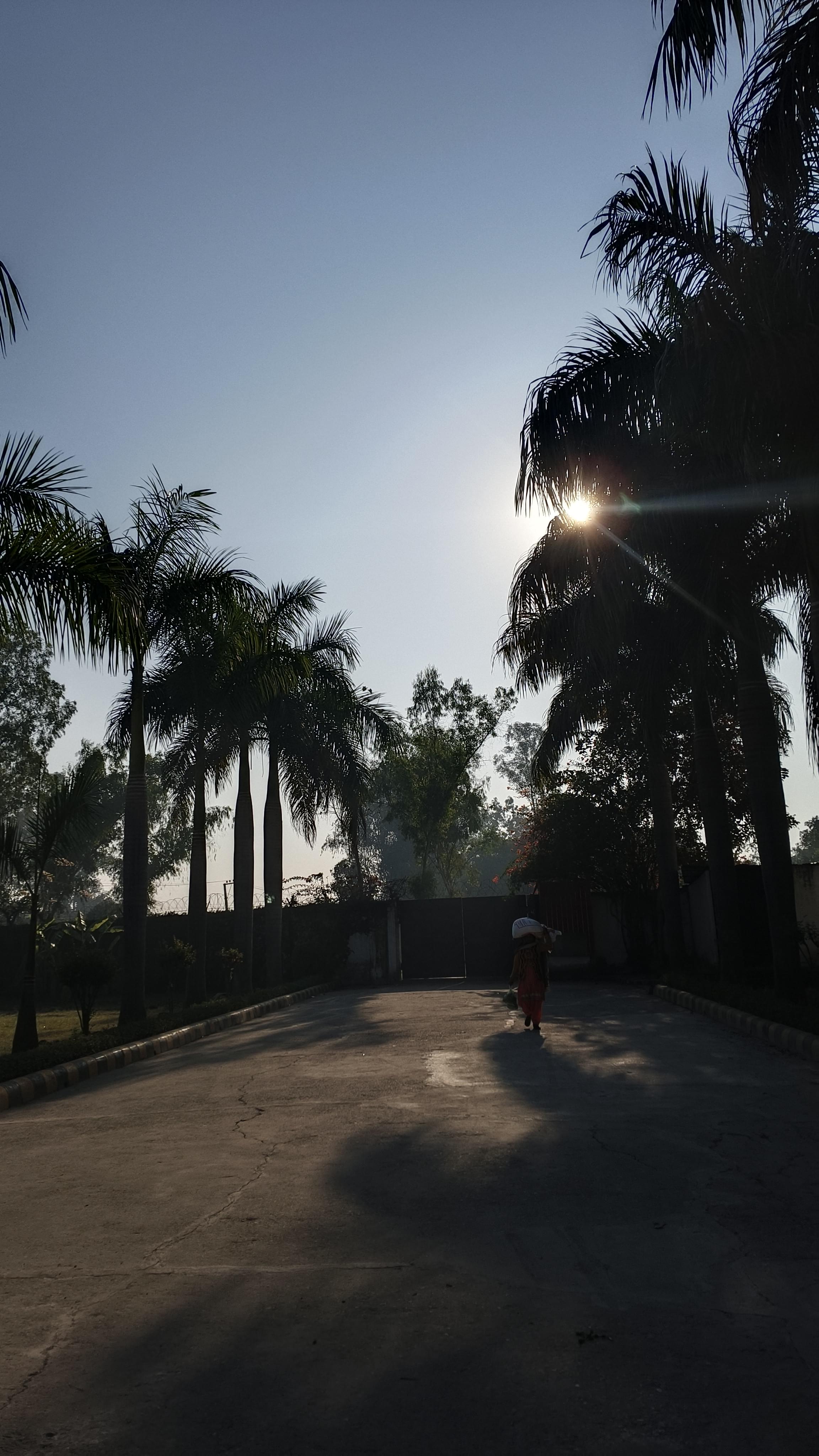 Haridwar University Campus photo (7) by Sweta Bharti