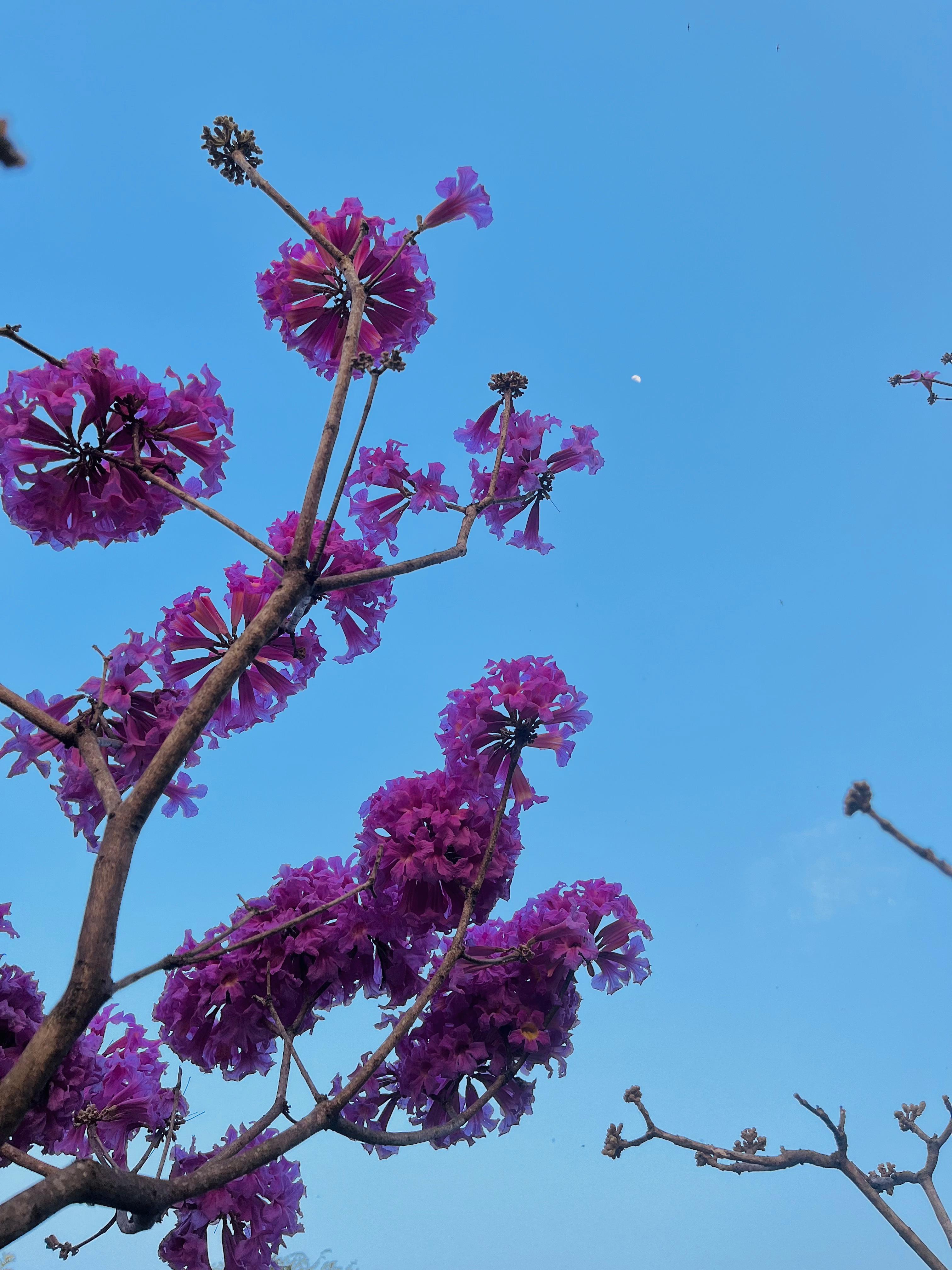 University of Mysore Infrastructure & Academic Building photo (17) by Belbindher