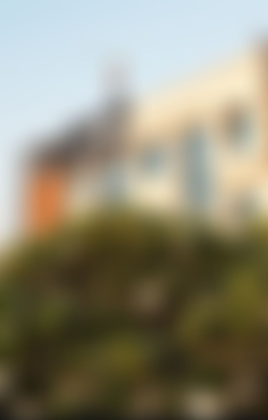 Om Sterling Global University Hisar Infrastructure & Academic Building photo (6) by Mitesh dewal