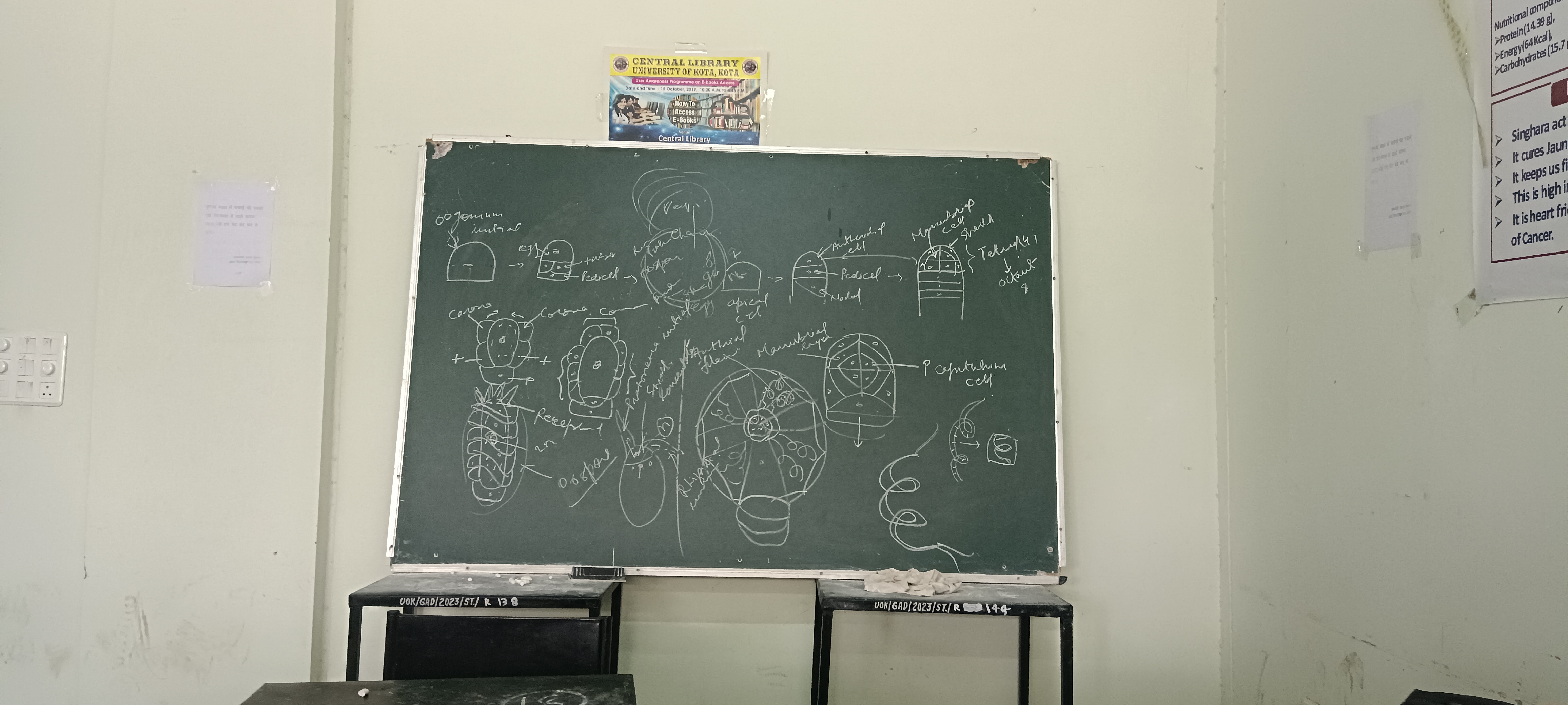 University of Kota Campus photo (16) by Gaurav singh