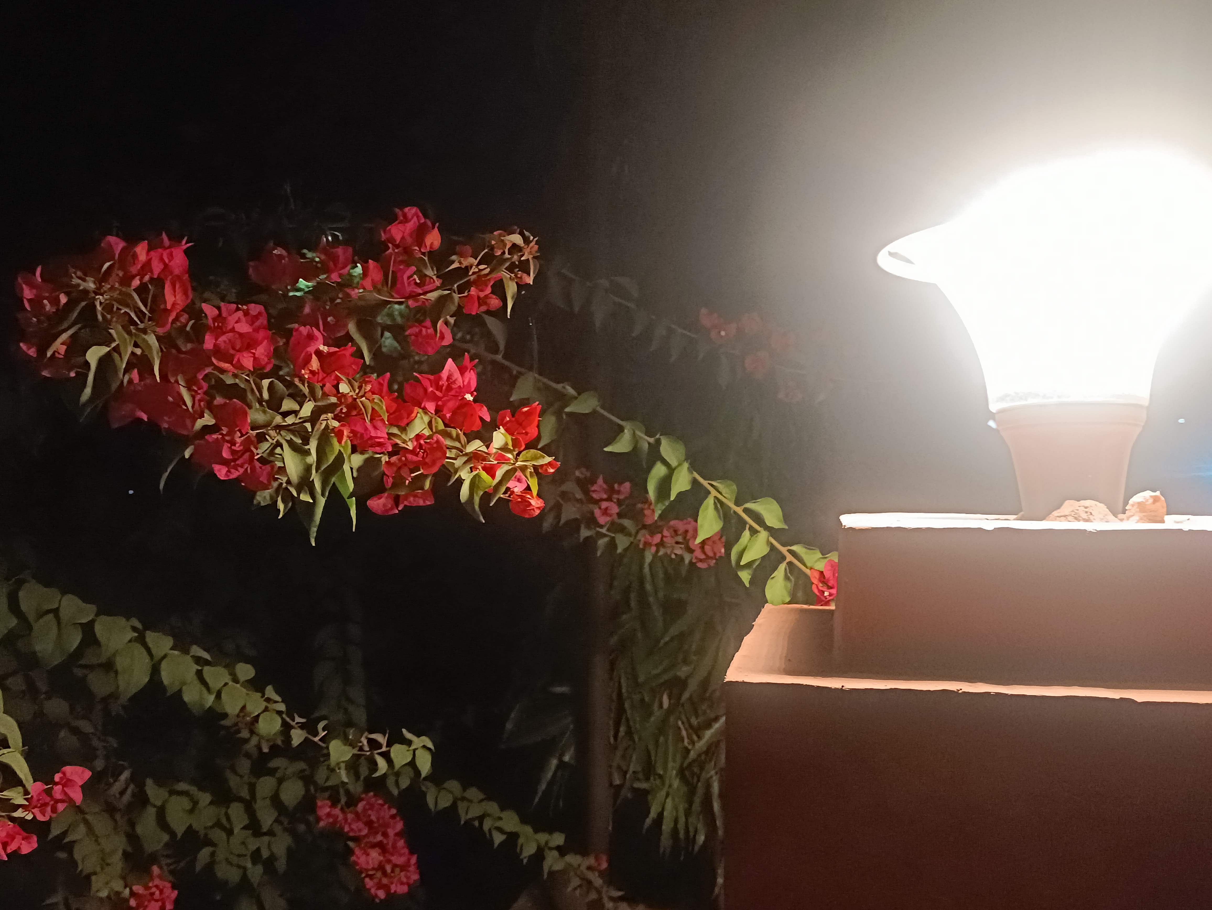 University of Kota Campus photo (14) by Gaurav singh