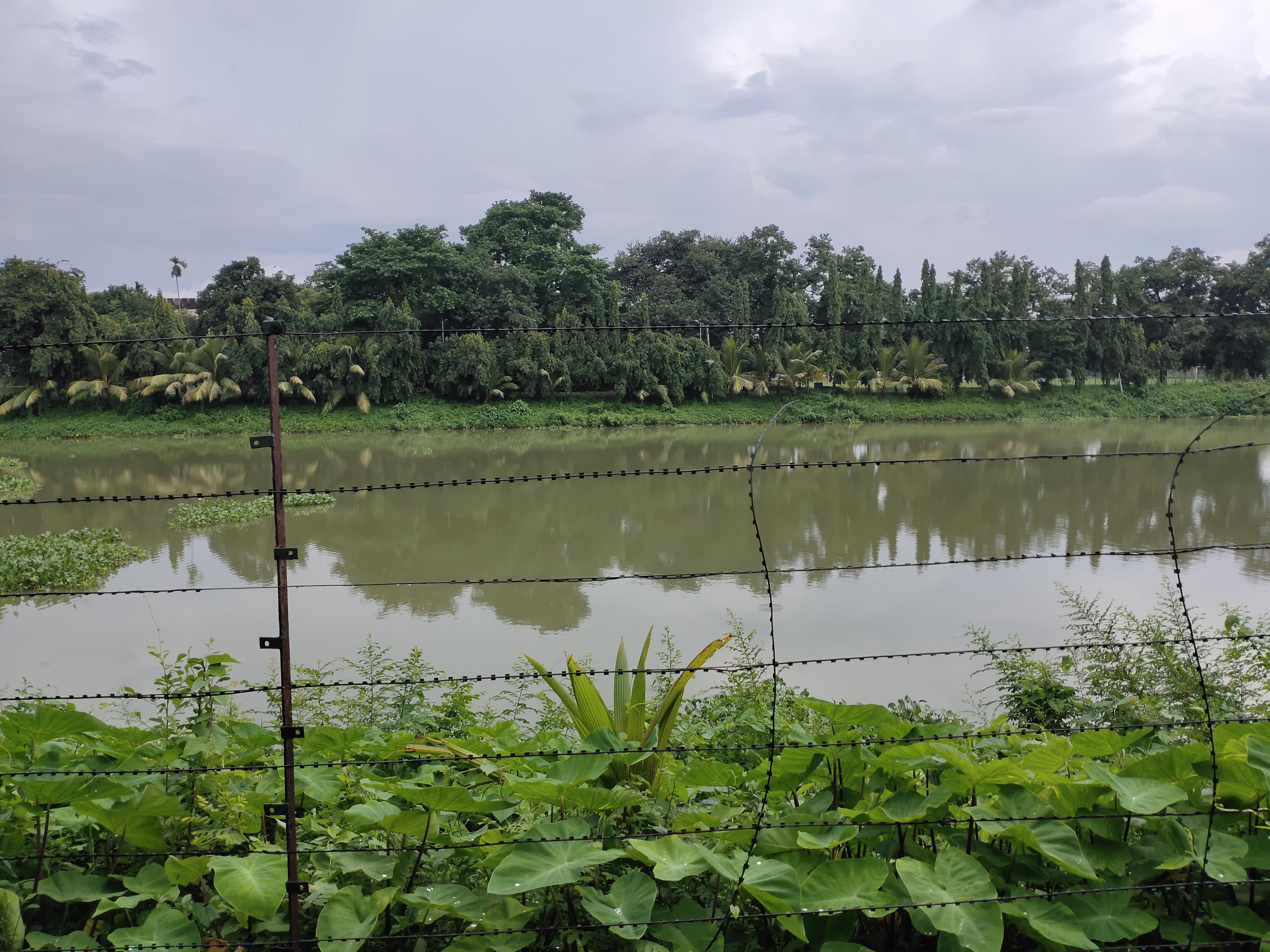 IIEST Shibpur Campus photo 6