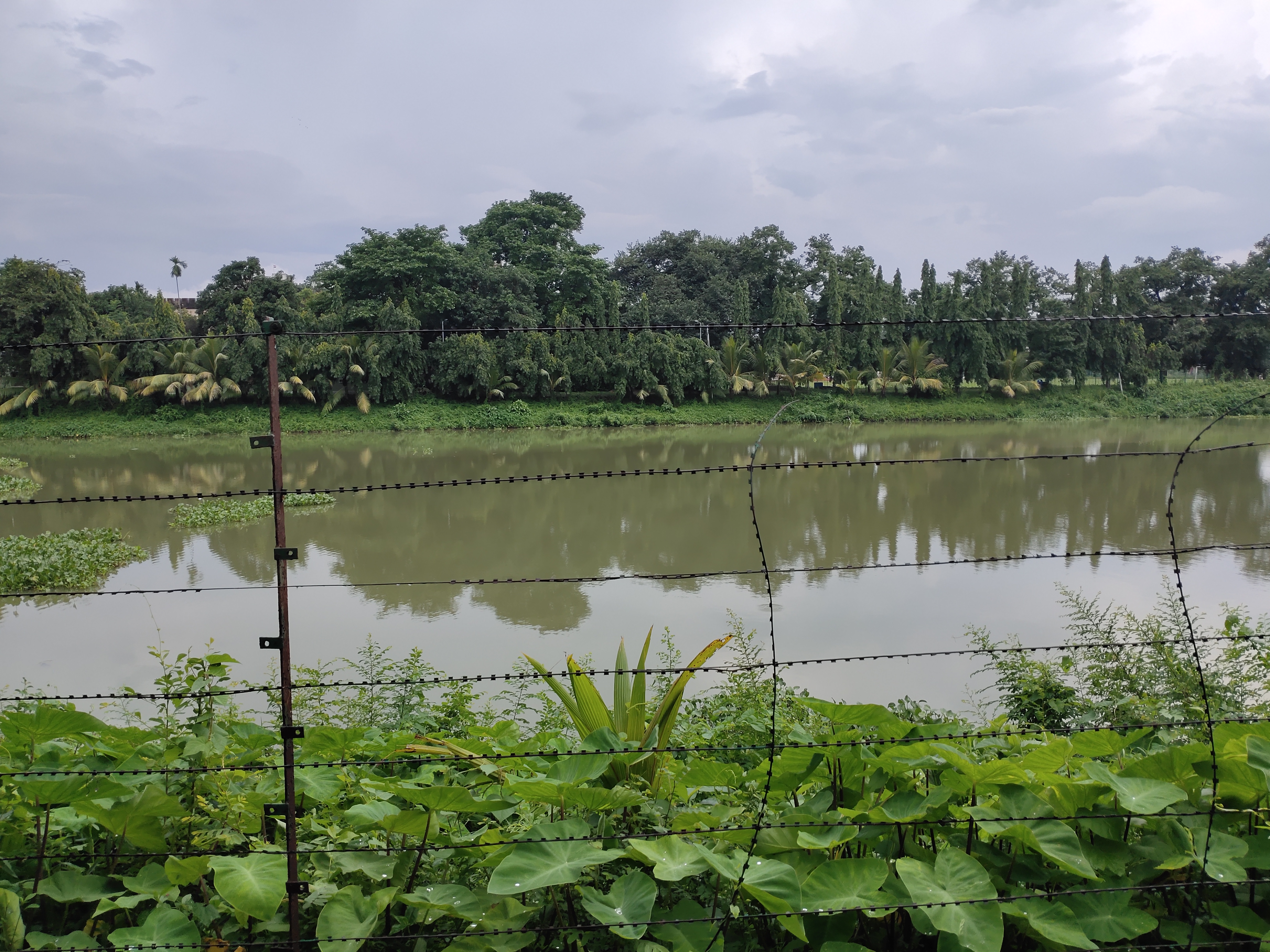 IIEST Shibpur Campus photo (13) by Samrat Das
