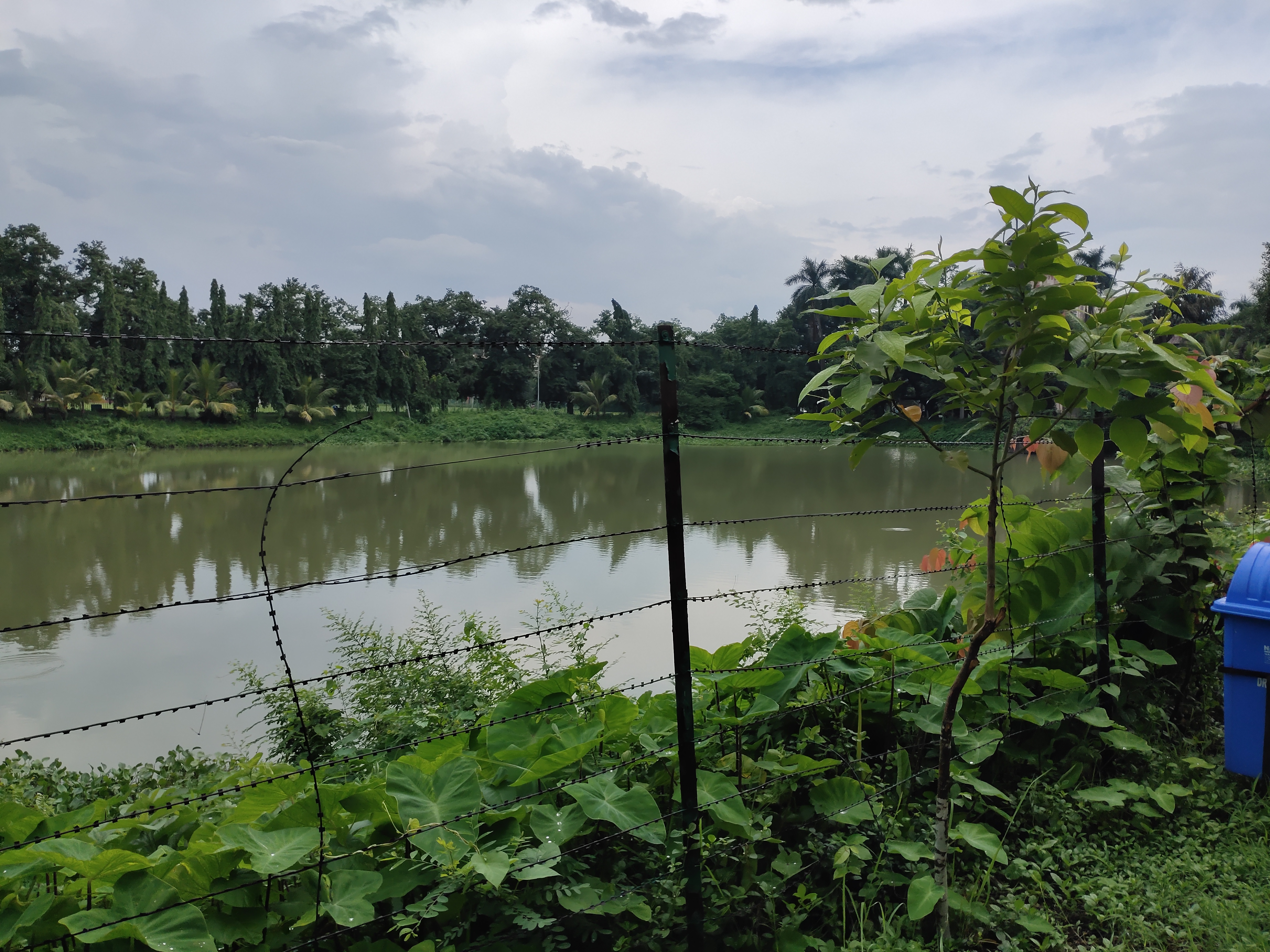 IIEST Shibpur Campus photo (12) by Samrat Das