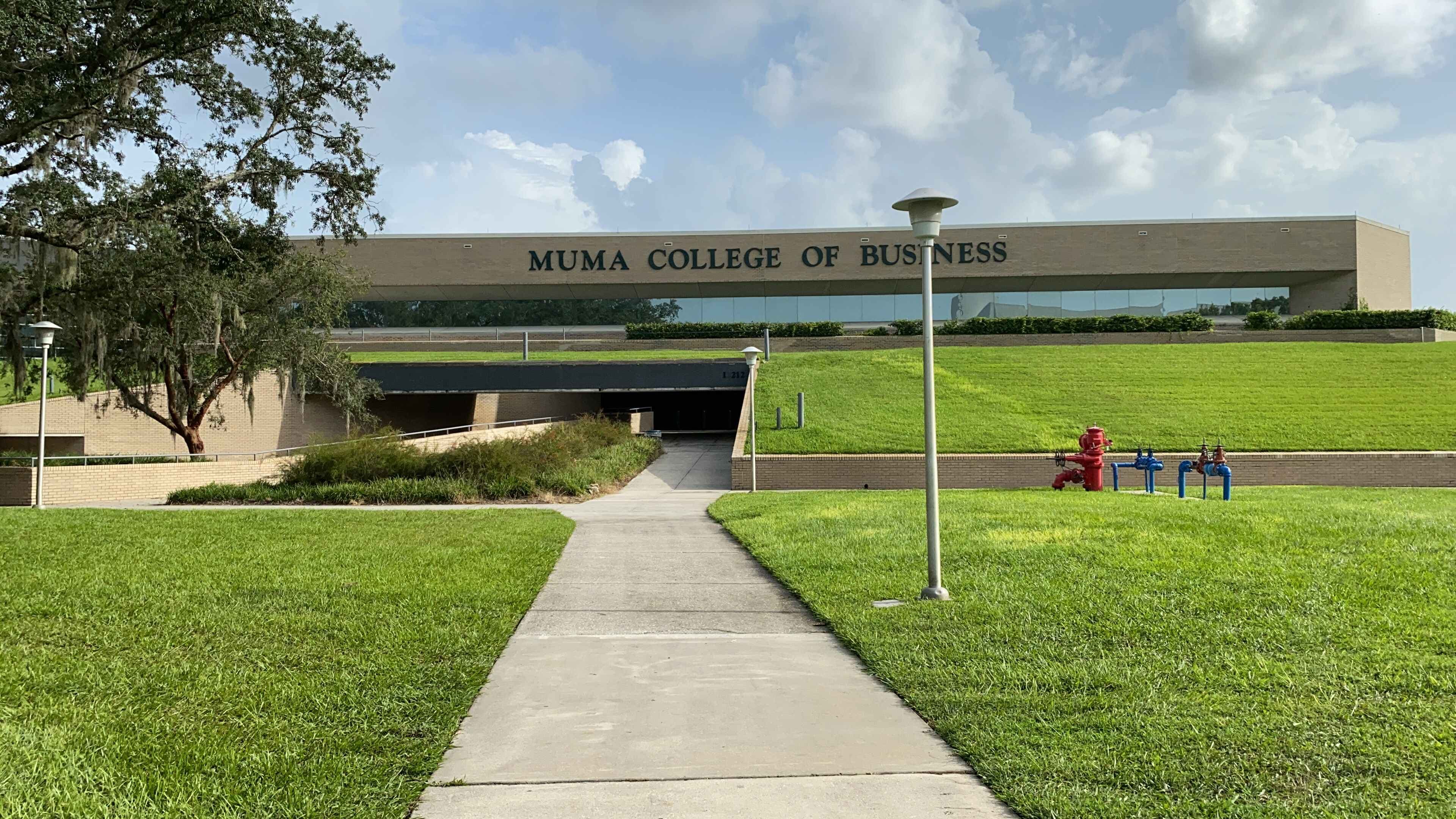 University of South Florida, Tampa (USF) Admissions 2026: Application ...