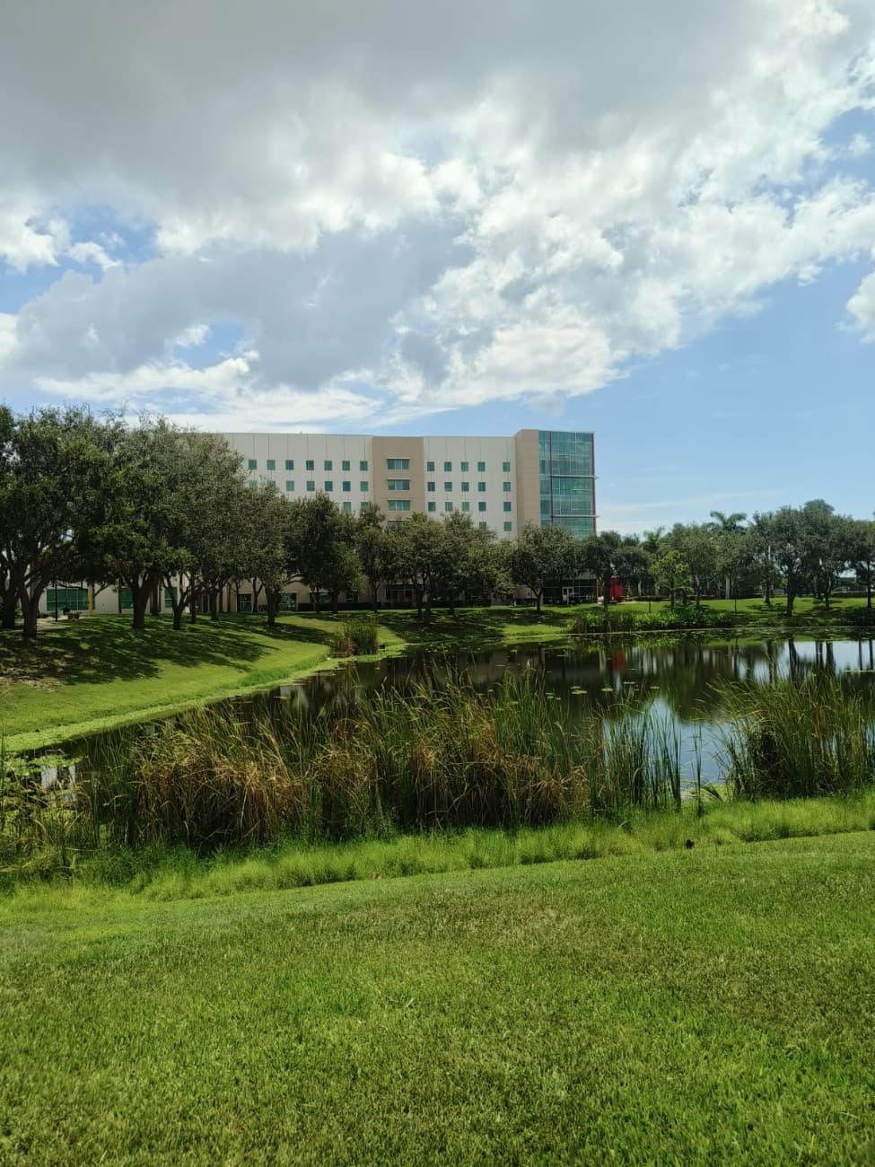 Florida visual data 7