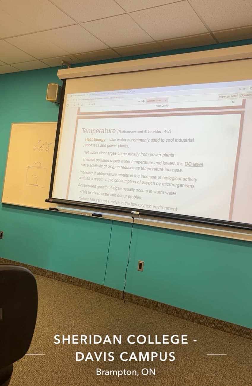 Sheridan College Courses, Acceptance Rate, Fees, & Reviews