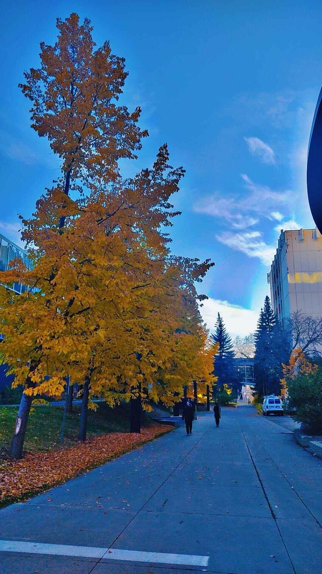 University of Alberta Admissions 2025: Application Deadline ...